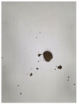 Materials 19 00088 i003