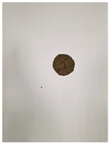 Materials 19 00088 i005