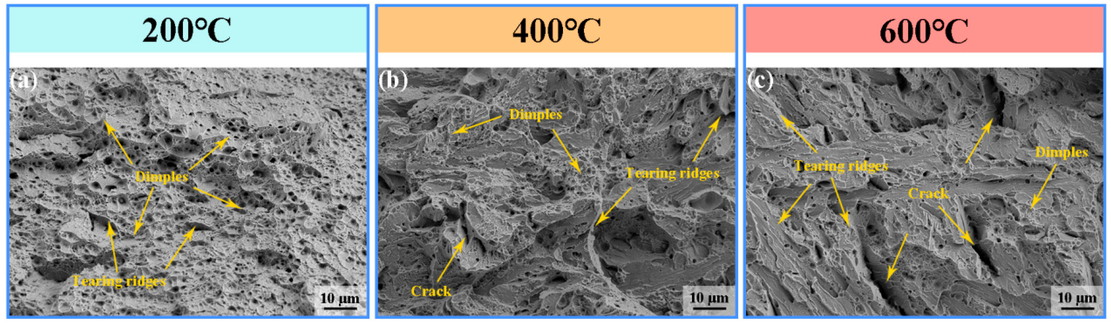 Materials 19 00111 g012 Materials 19 00111 g012