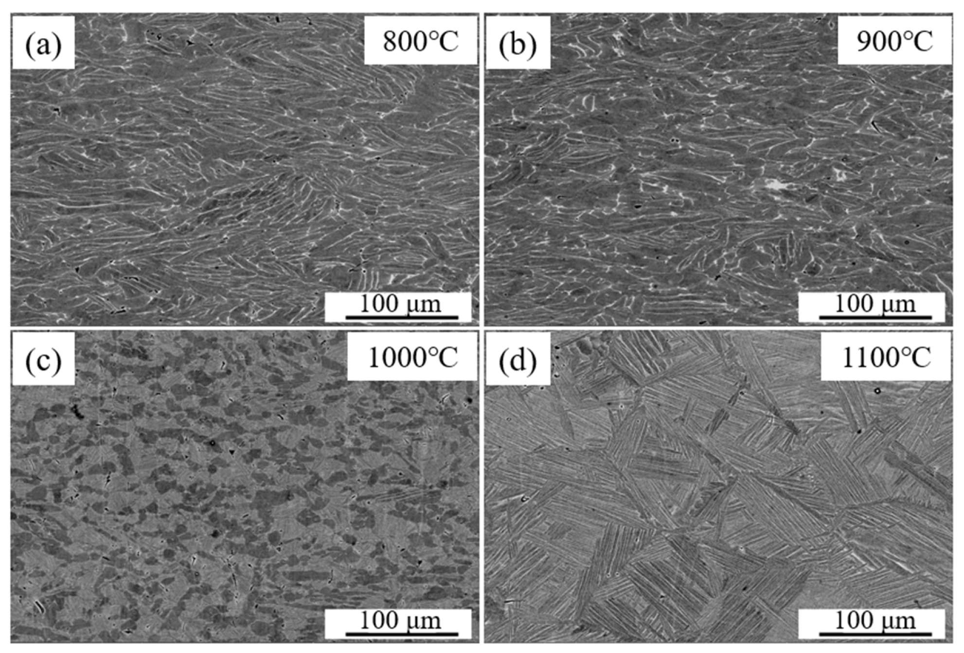 Materials 19 00117 g008 Materials 19 00117 g008