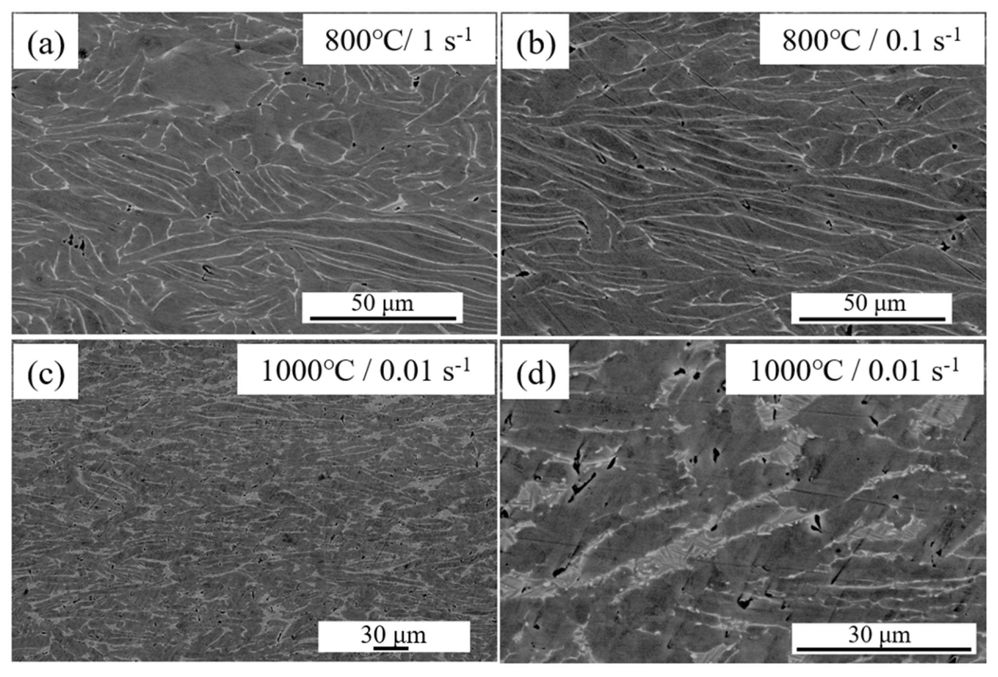 Materials 19 00117 g009 Materials 19 00117 g009