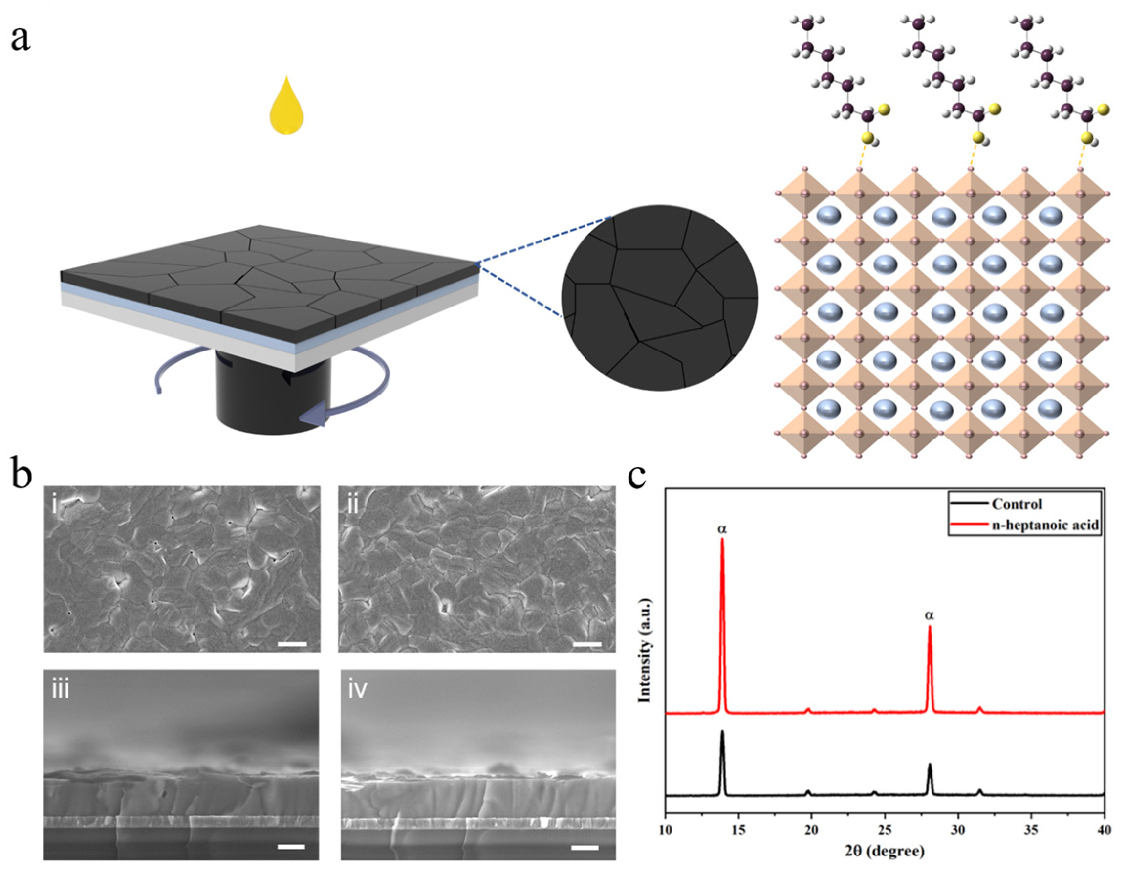 Materials 19 00122 g001
