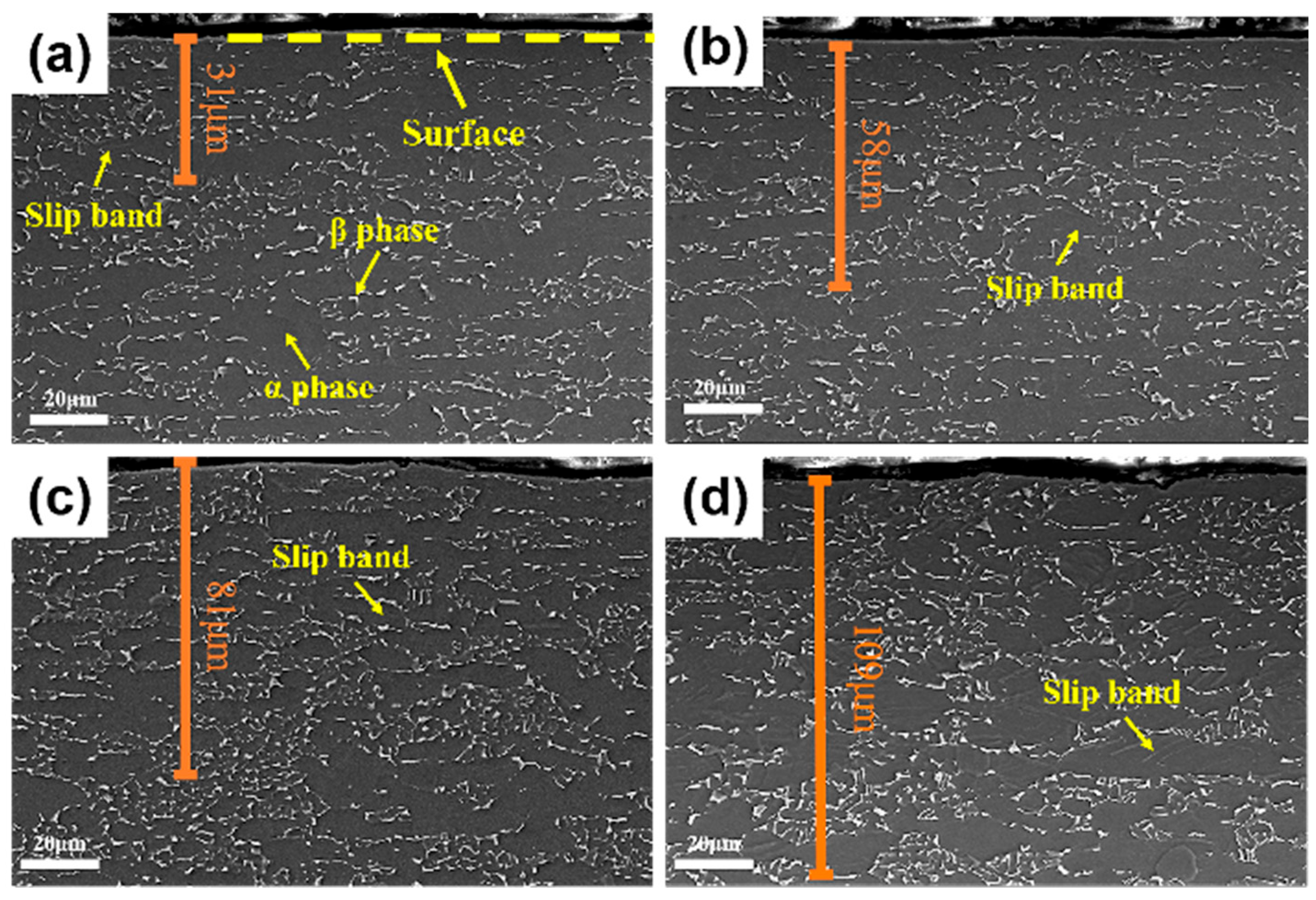 Materials 19 00123 g007