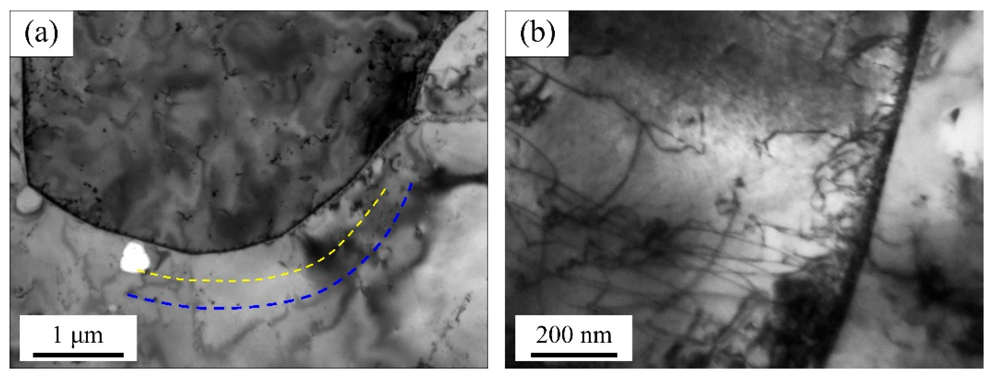 Materials 19 00128 g008 Materials 19 00128 g008