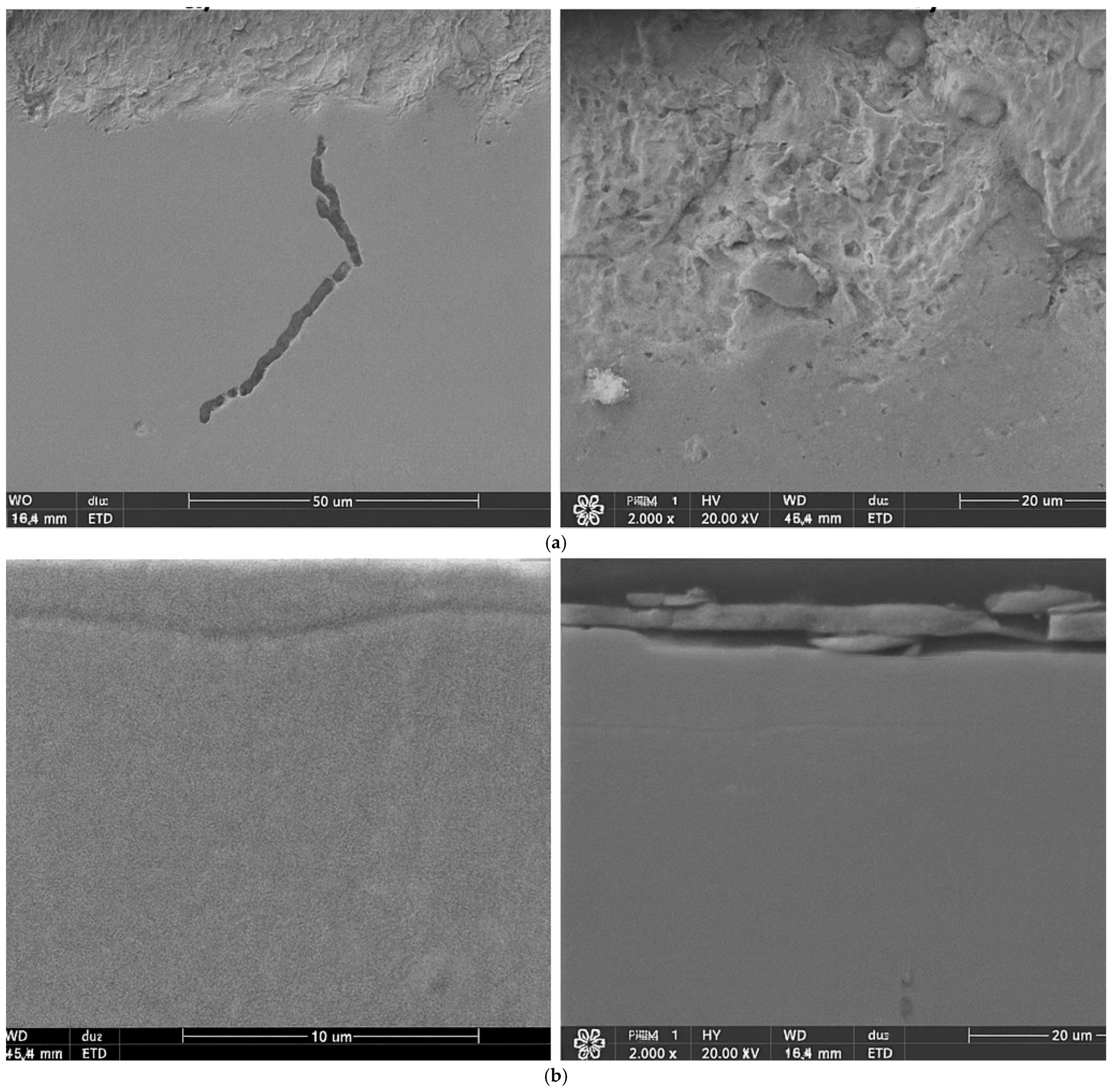 Materials 19 00130 g003a