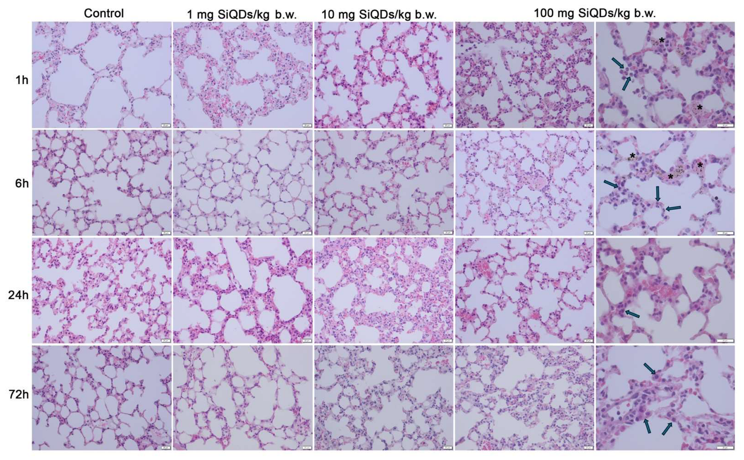 Materials 19 00141 g002