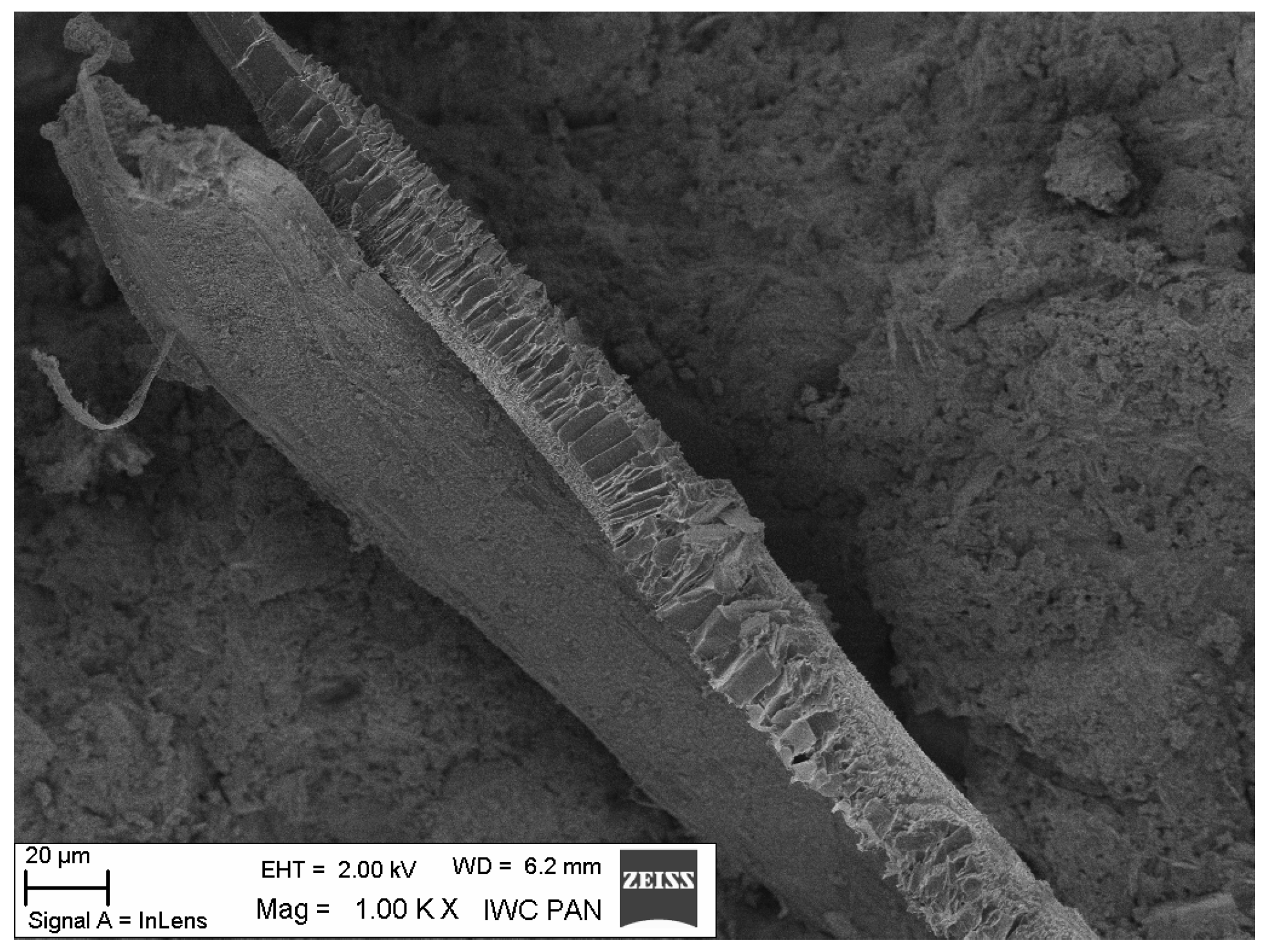 Materials 19 00142 g023