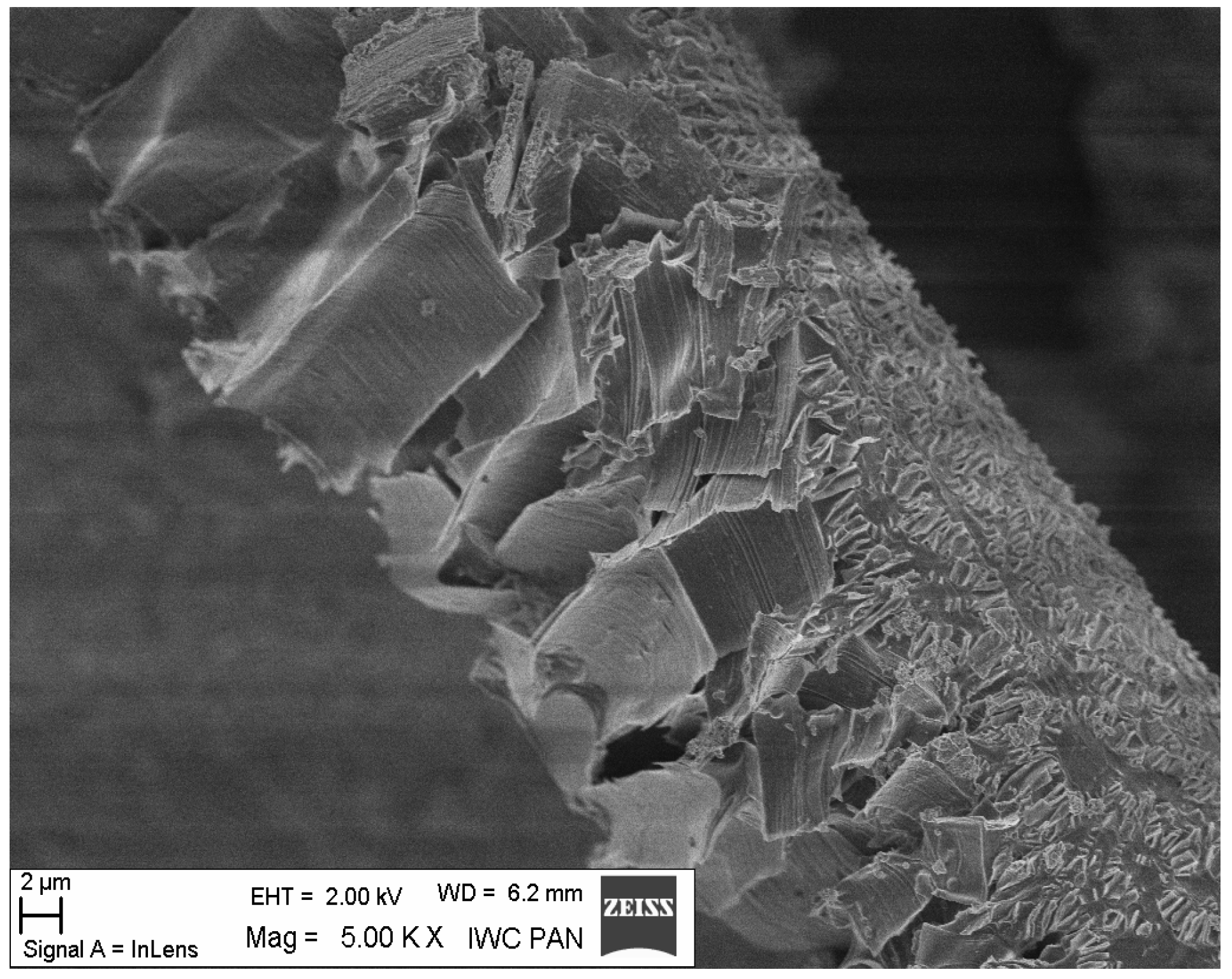 Materials 19 00142 g024