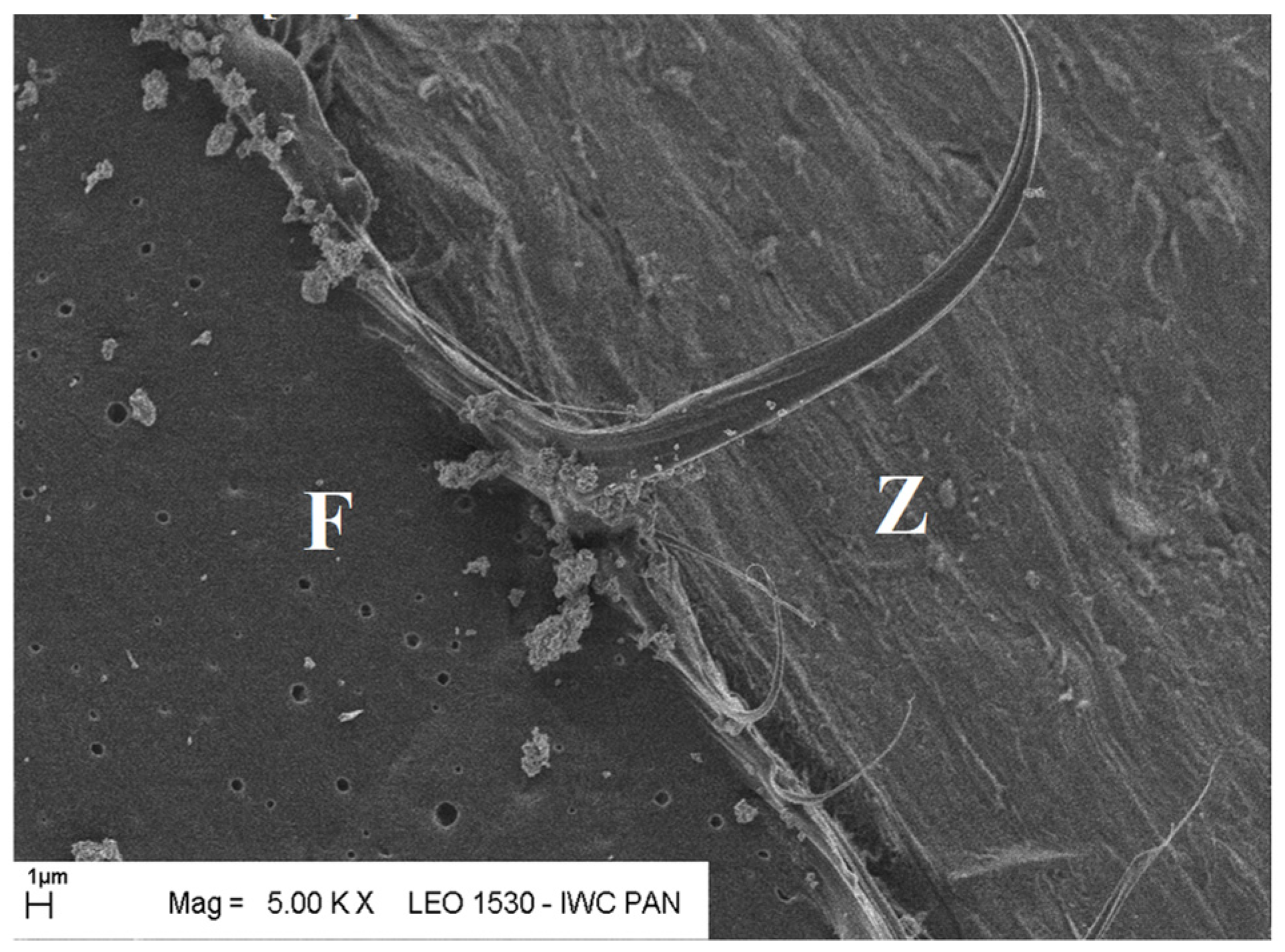 Materials 19 00142 g025