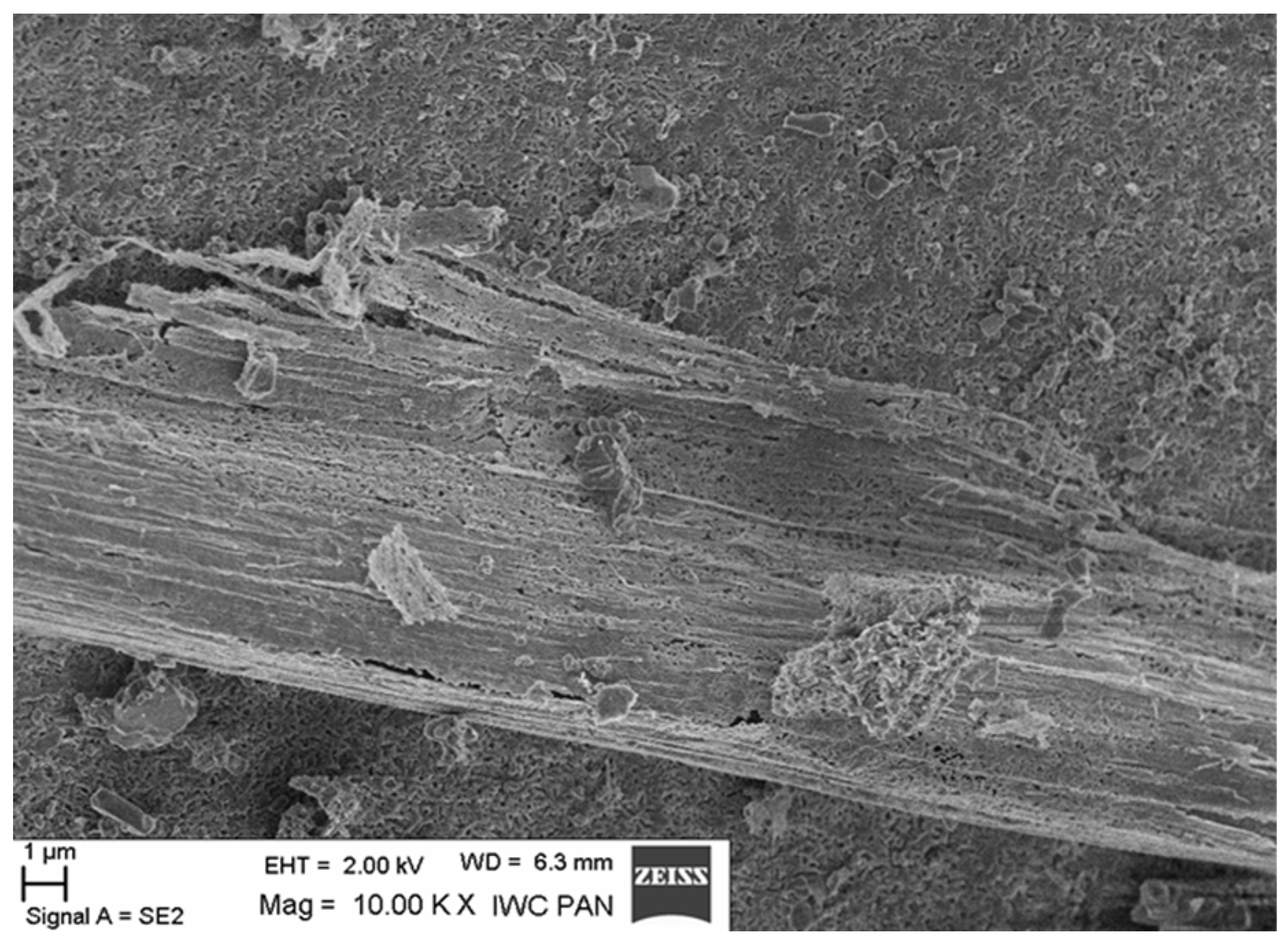 Materials 19 00142 g028