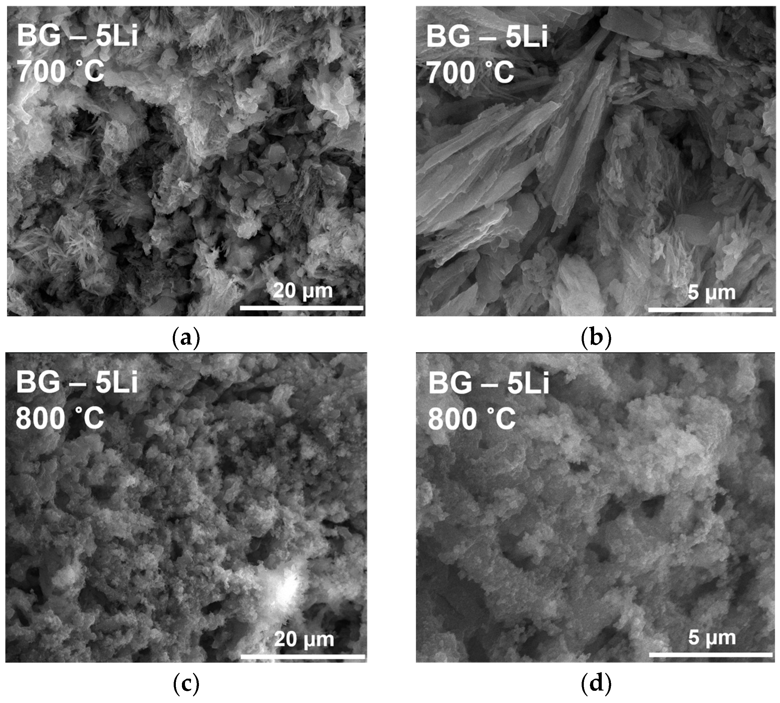 Materials 19 00153 g010