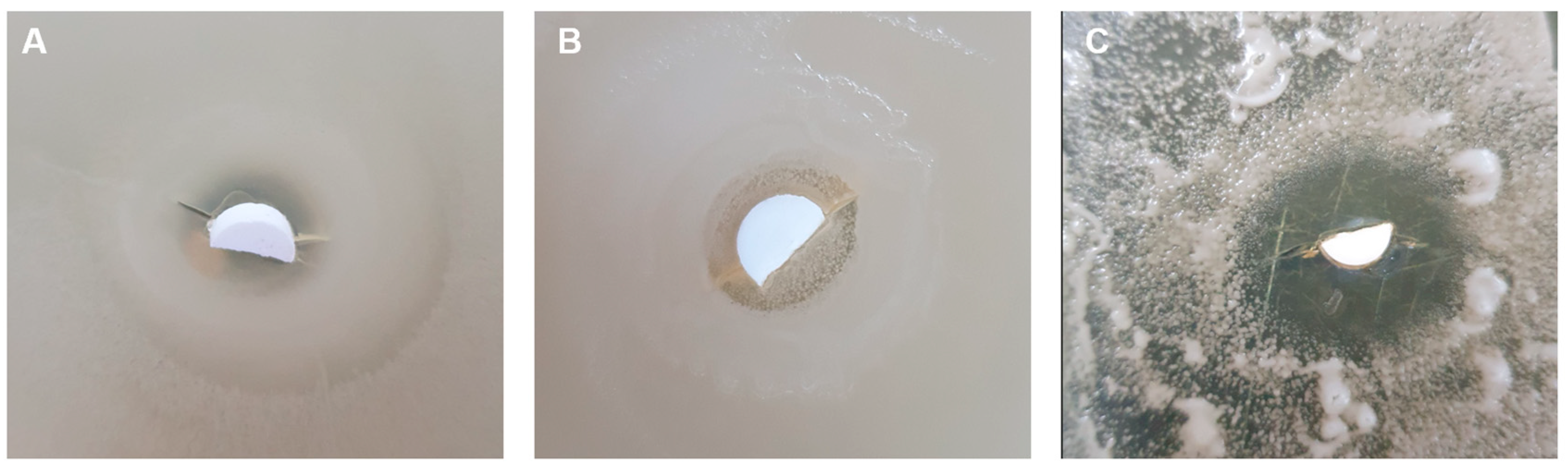 Materials 19 00153 g013