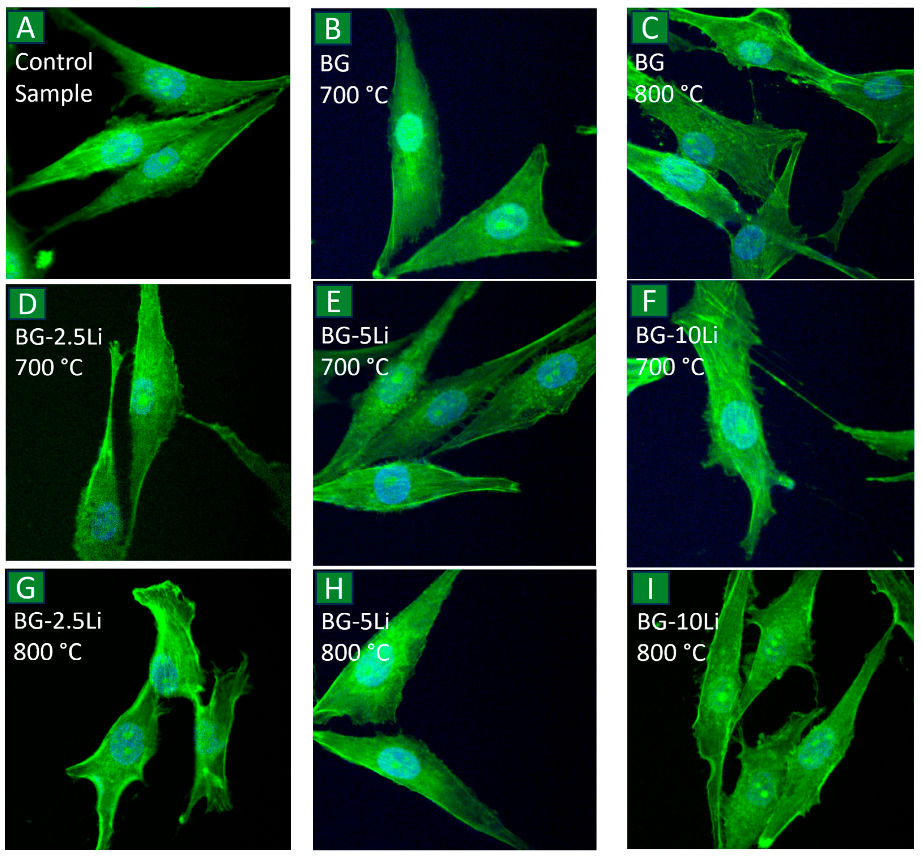 Materials 19 00153 g015