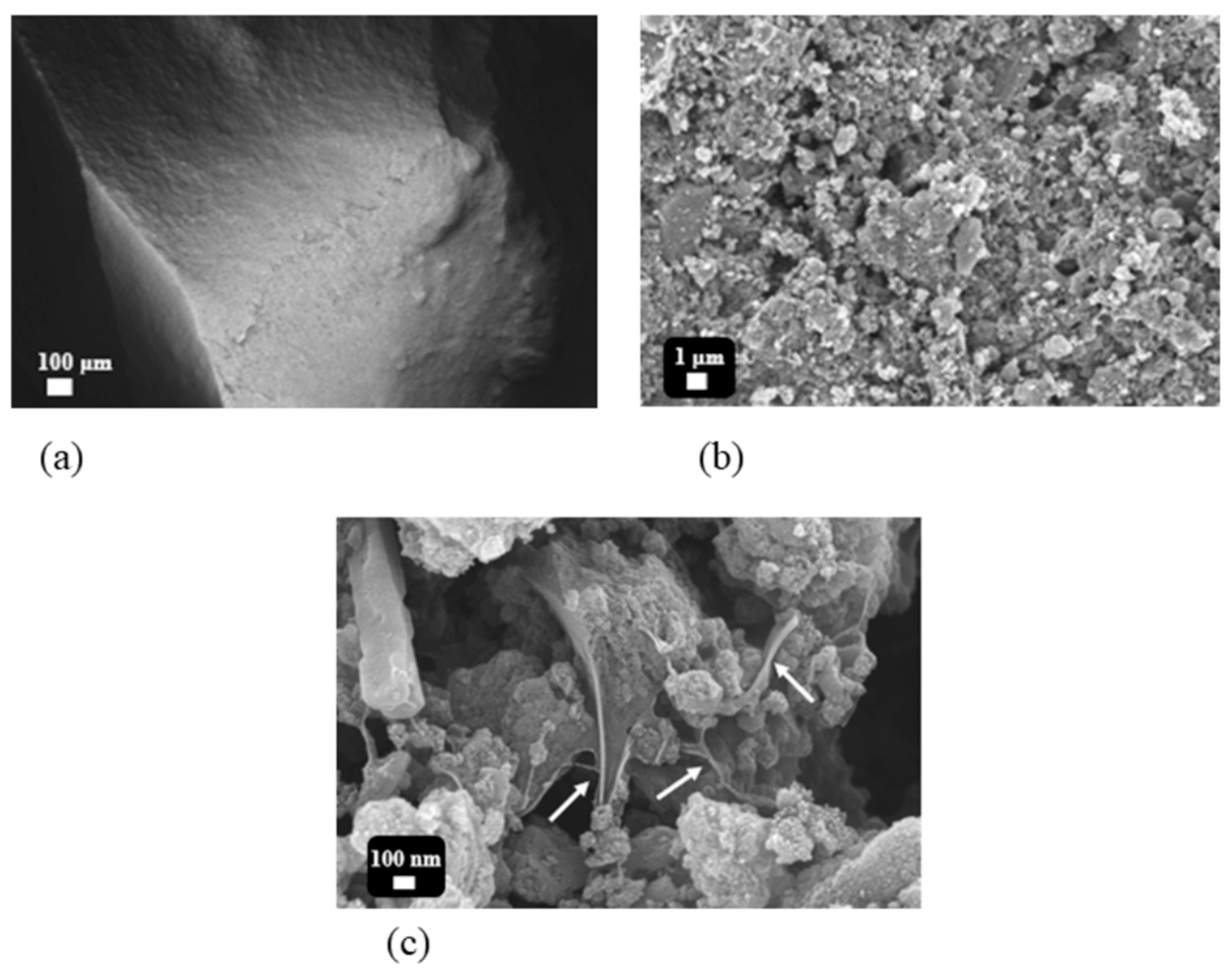Materials 19 00155 g002