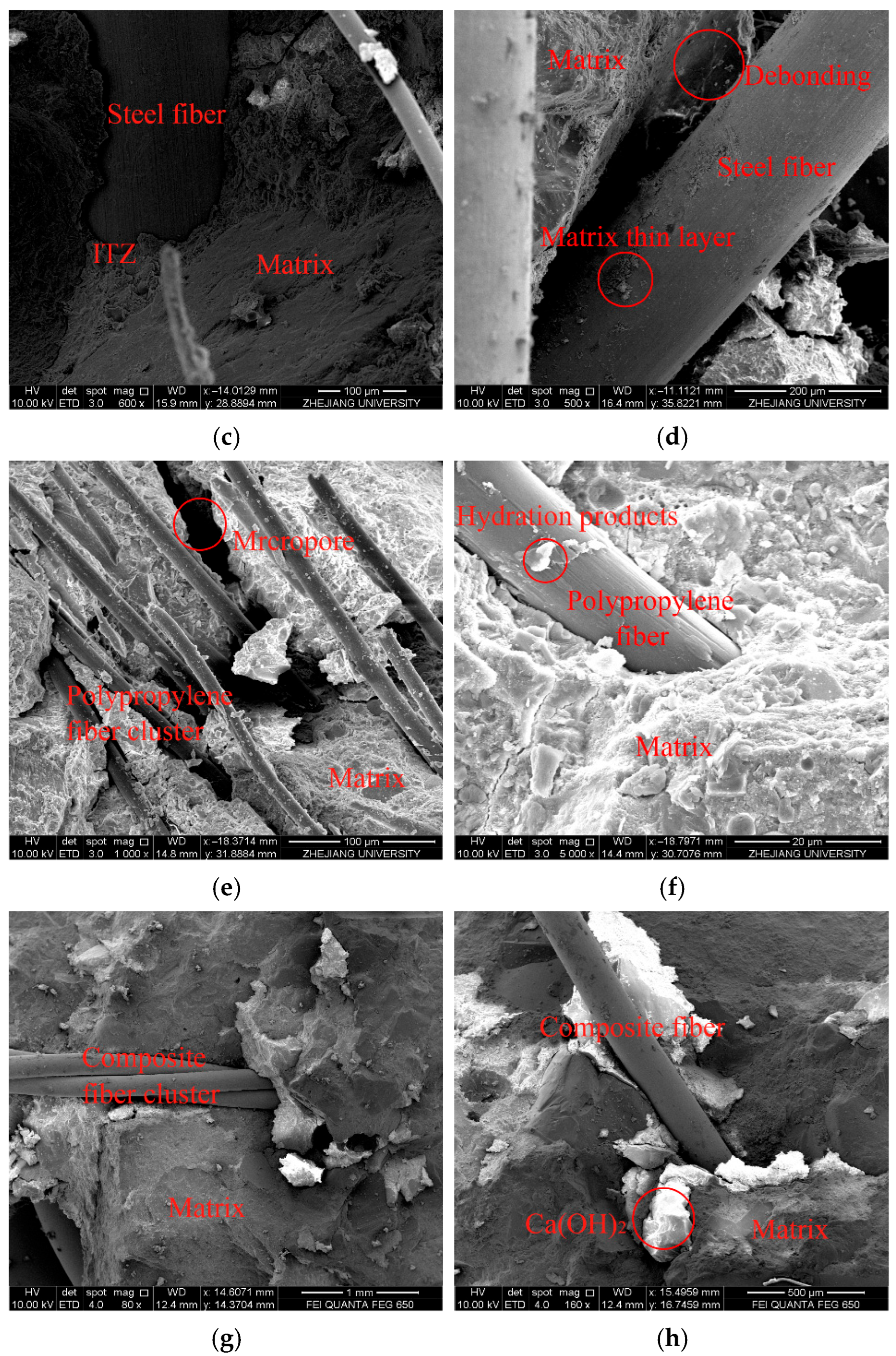 Materials 19 00157 g009b Materials 19 00157 g009b