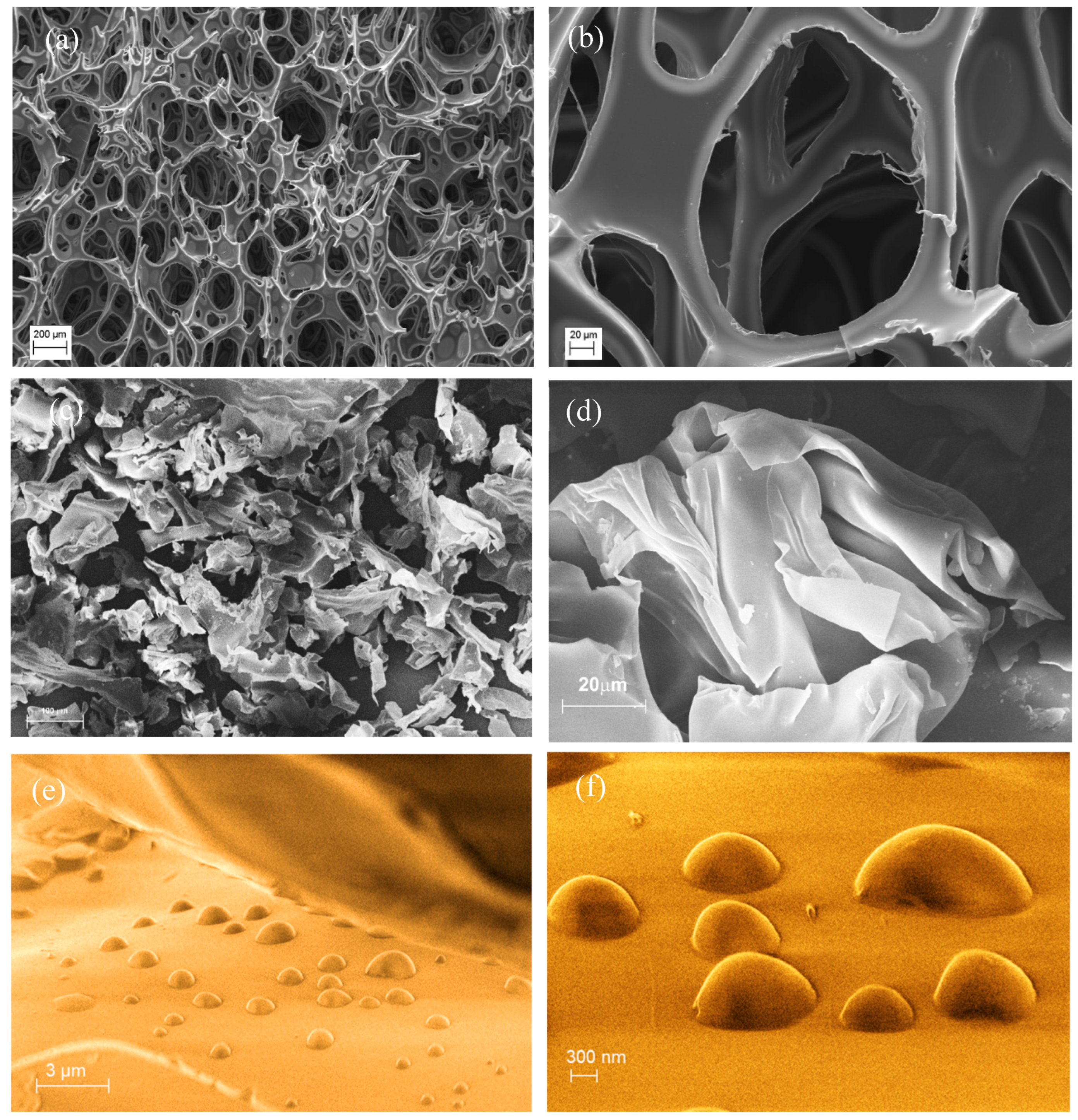 Materials 19 00166 g006