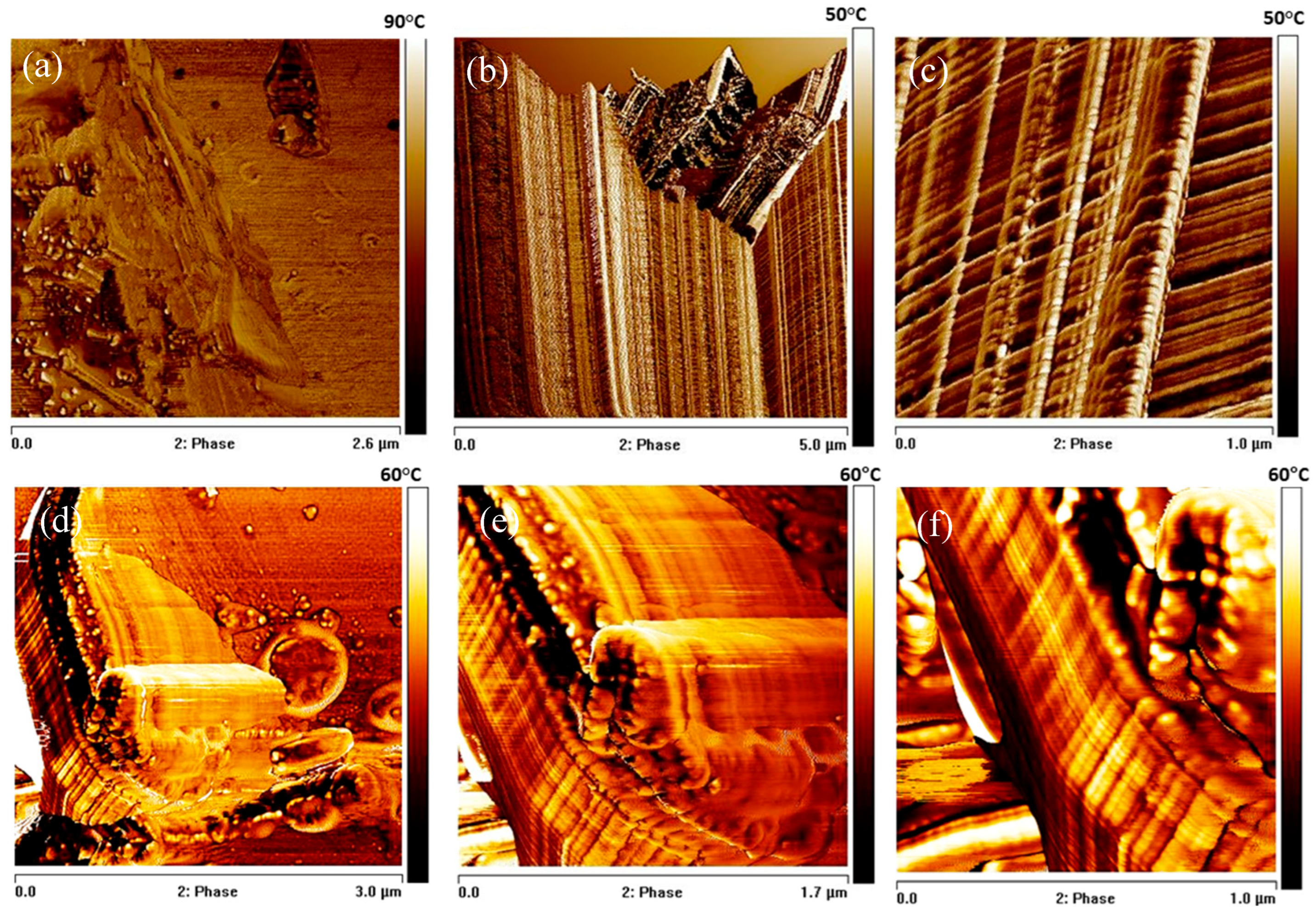 Materials 19 00166 g007