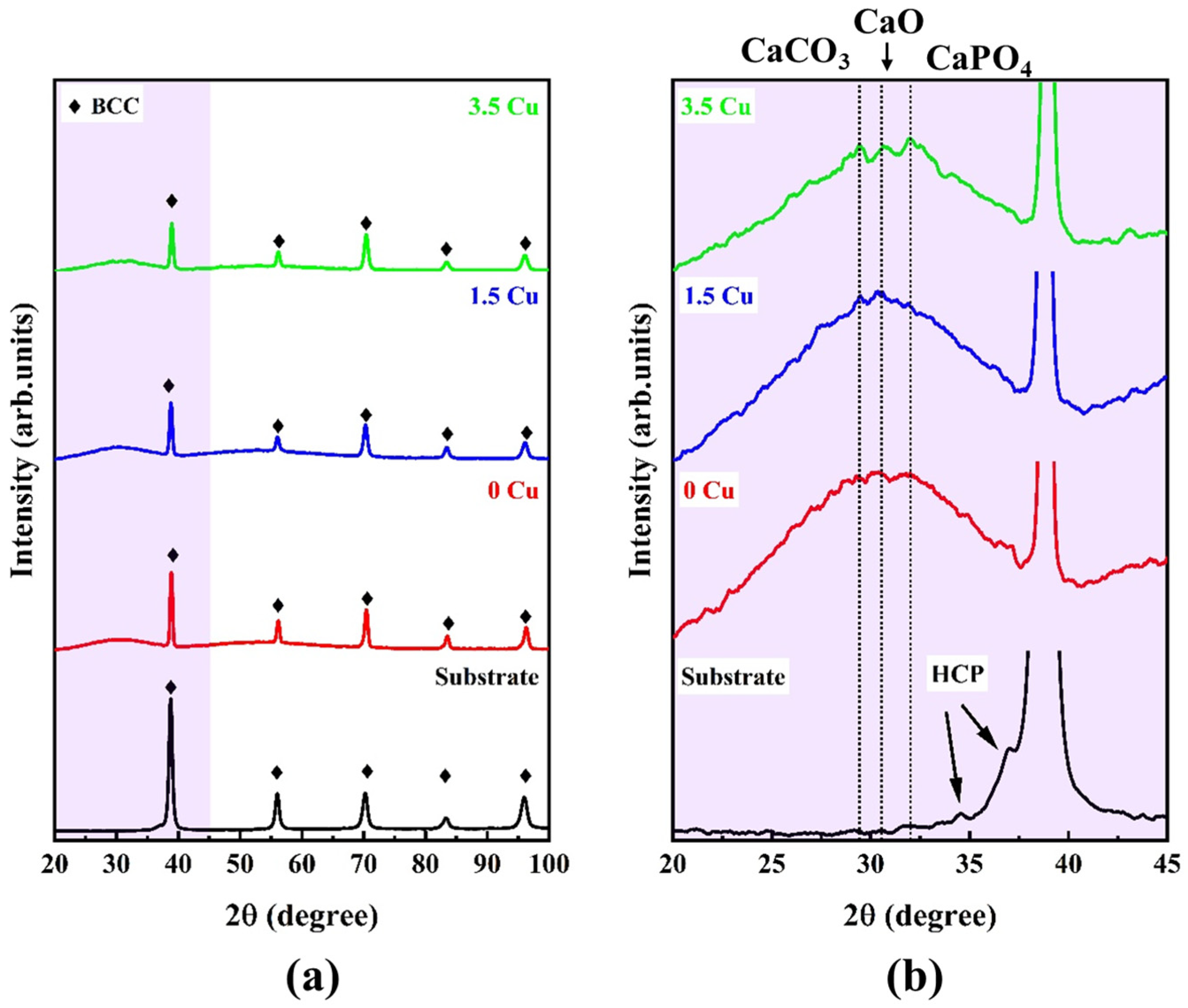 Materials 19 00174 g003