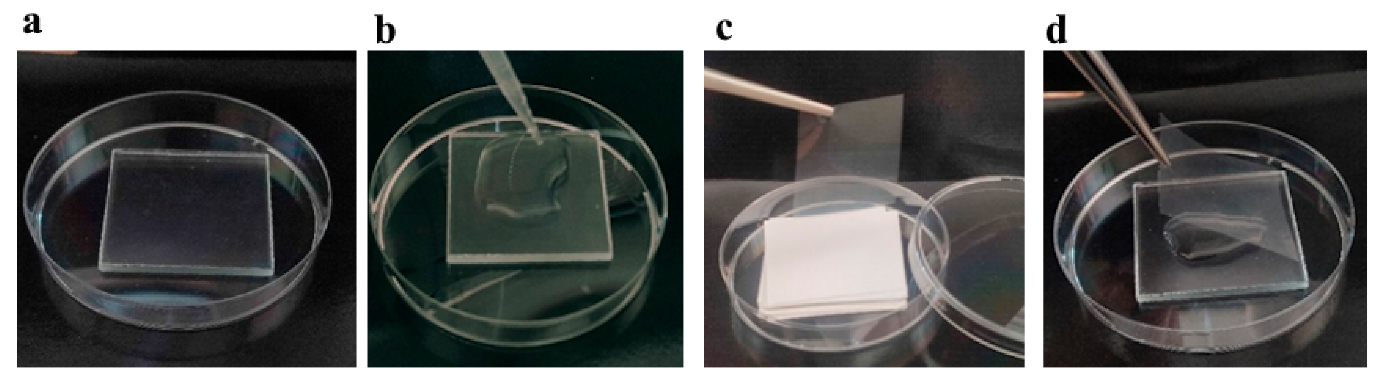 Materials 19 00175 g002 Materials 19 00175 g002