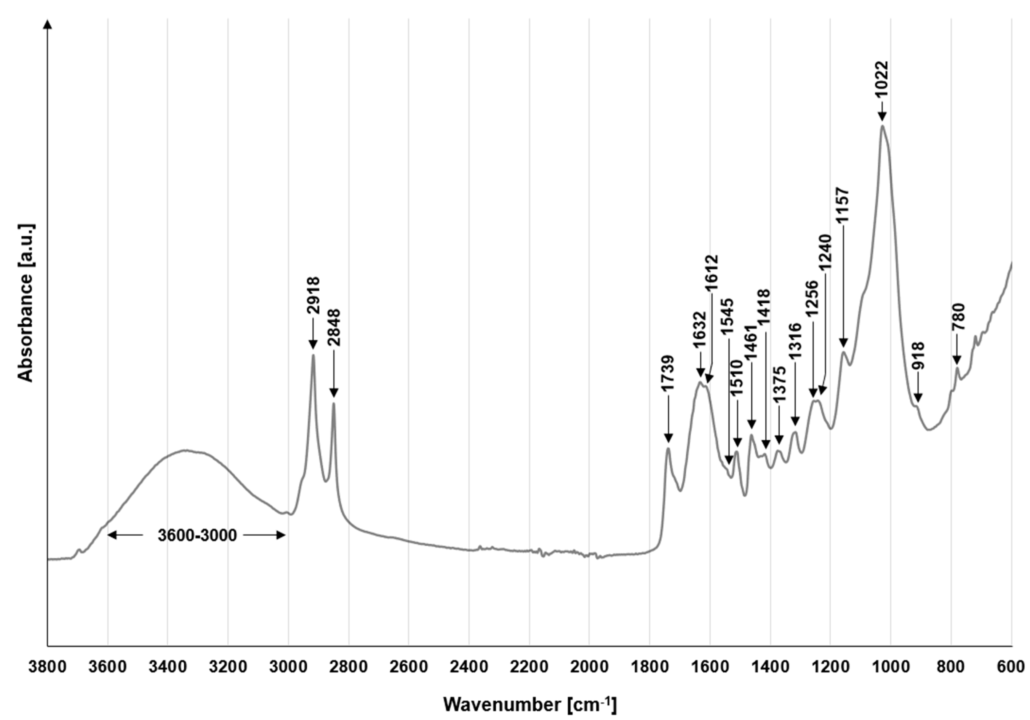 Materials 19 00185 g002 Materials 19 00185 g002