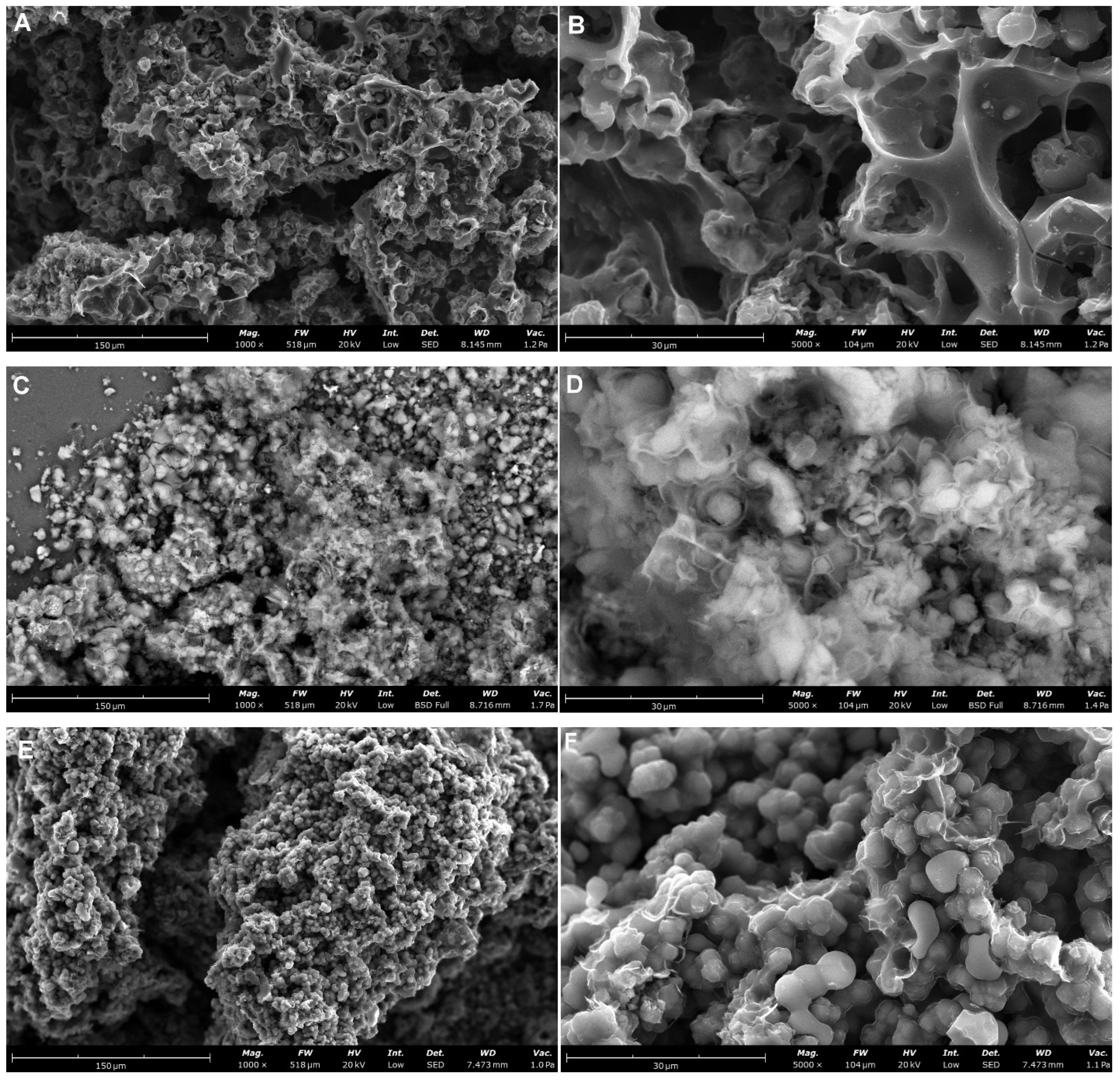 Materials 19 00191 g002a Materials 19 00191 g002a