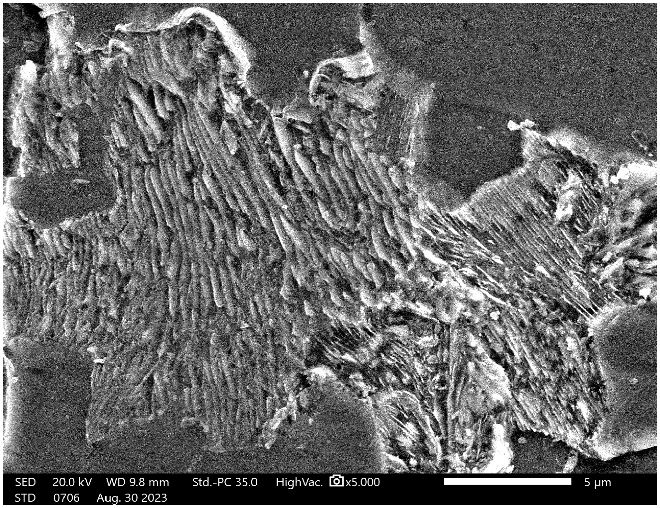 Materials 19 00270 g004 Materials 19 00270 g004