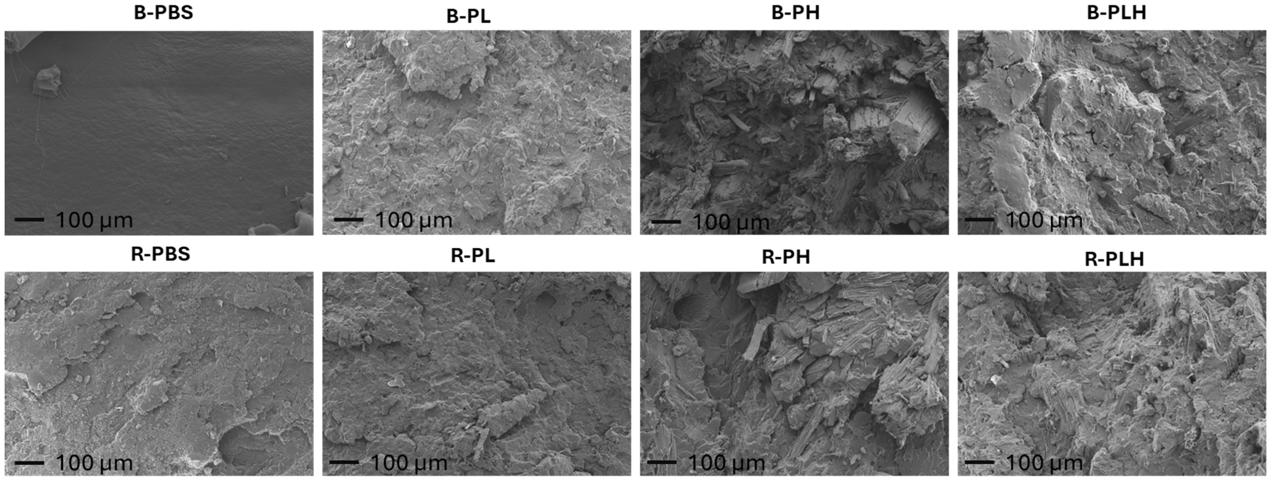 Materials 19 00275 g004