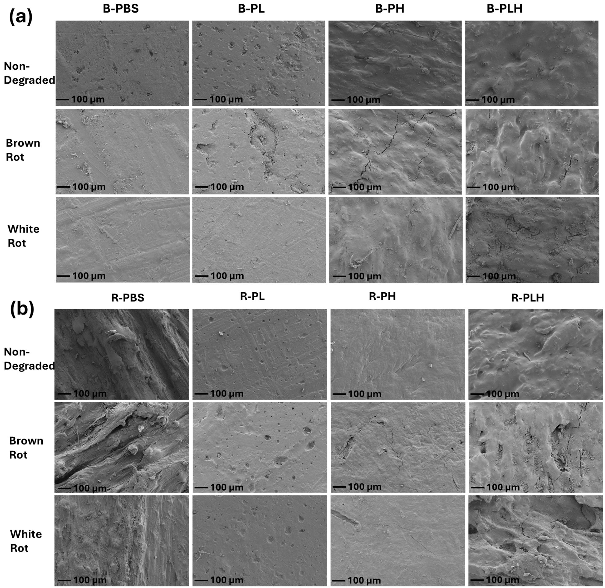 Materials 19 00275 g010