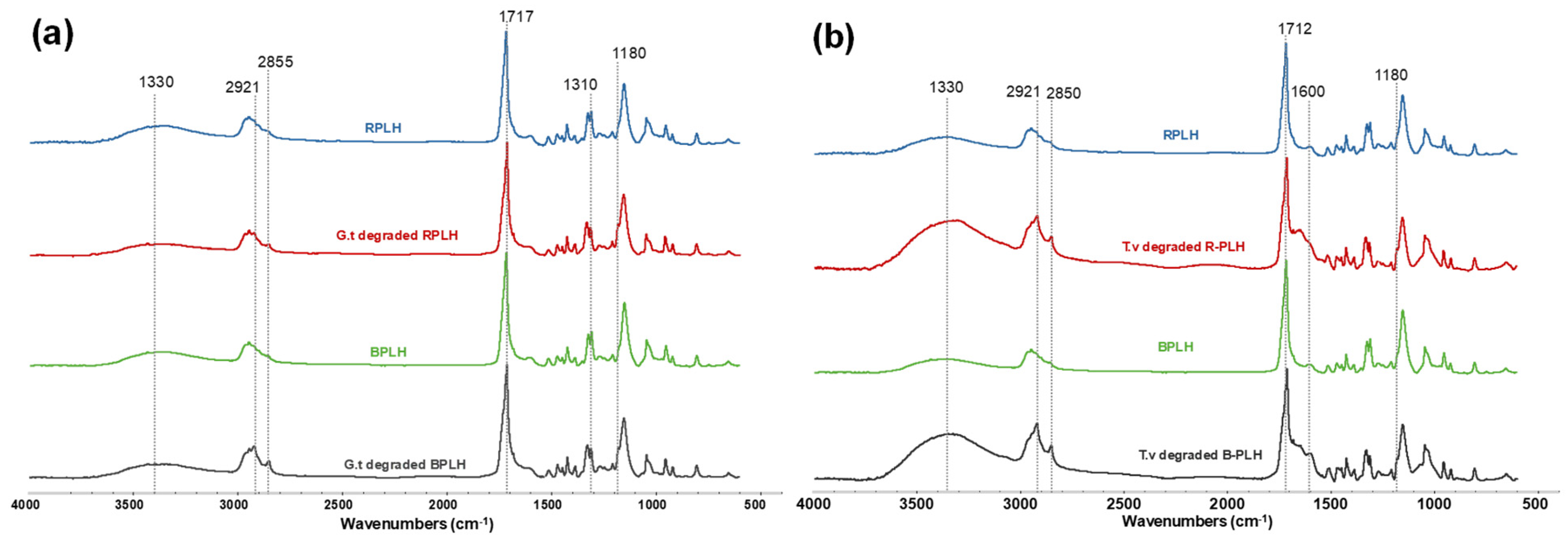 Materials 19 00275 g011
