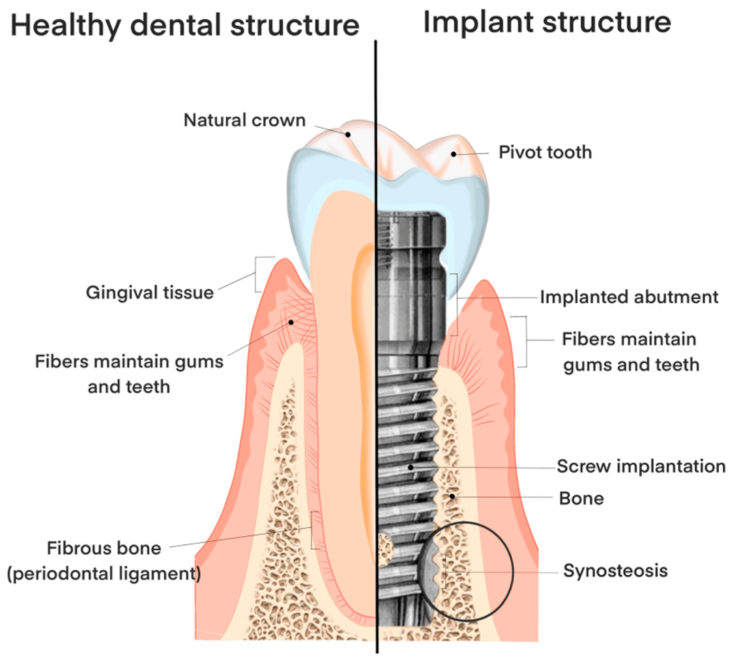 Materials 19 00403 g001