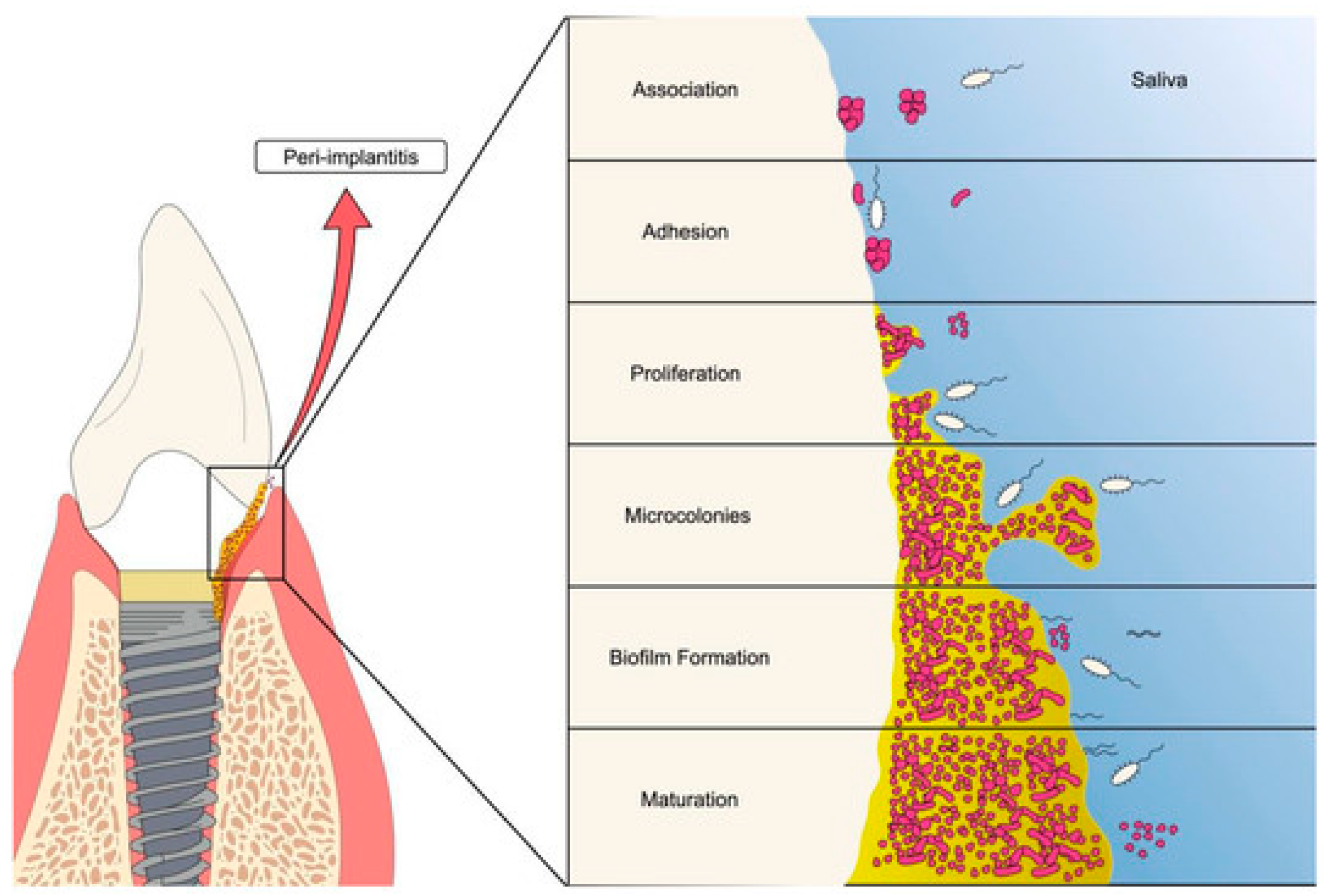 Materials 19 00403 g004