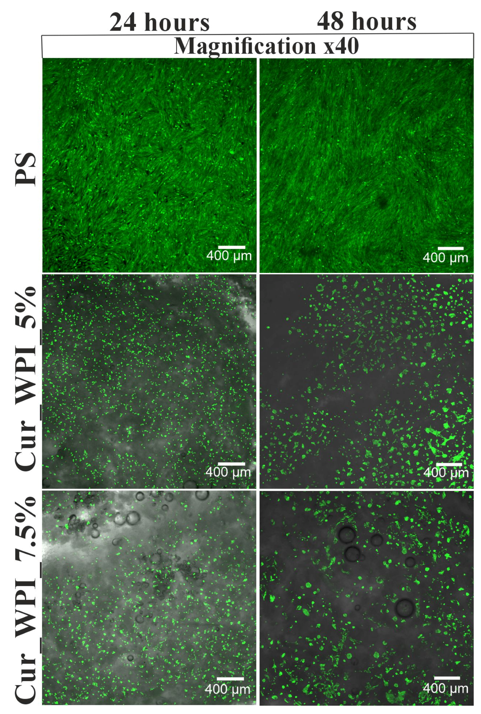 Materials 19 00404 g007