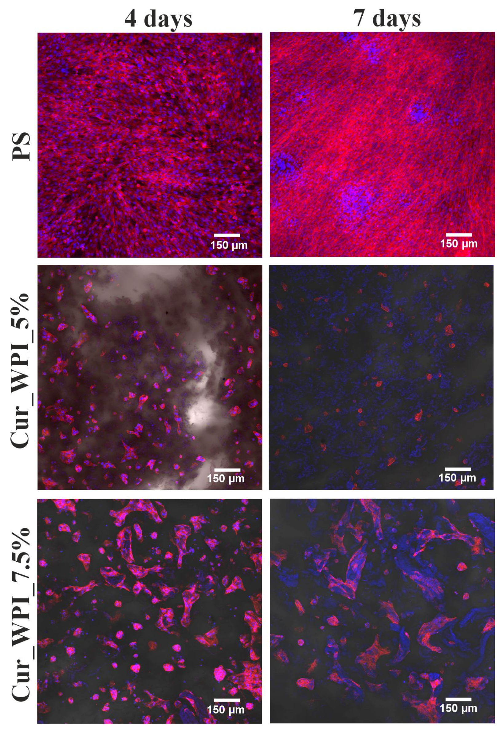 Materials 19 00404 g009