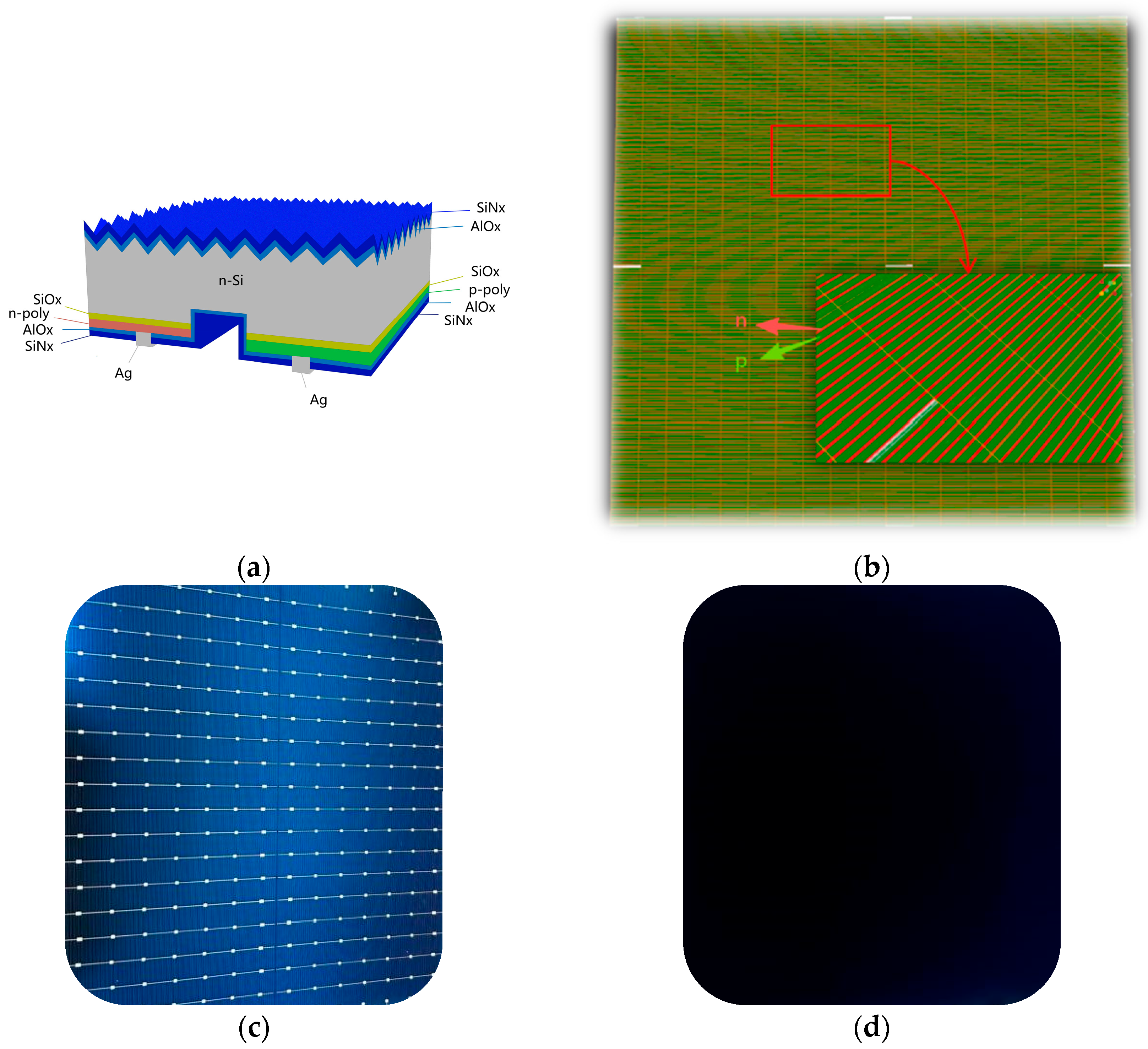 Materials 19 00405 g001