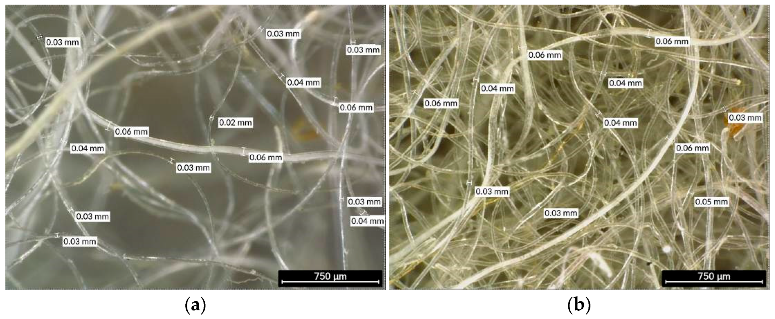 Materials 19 00427 g001