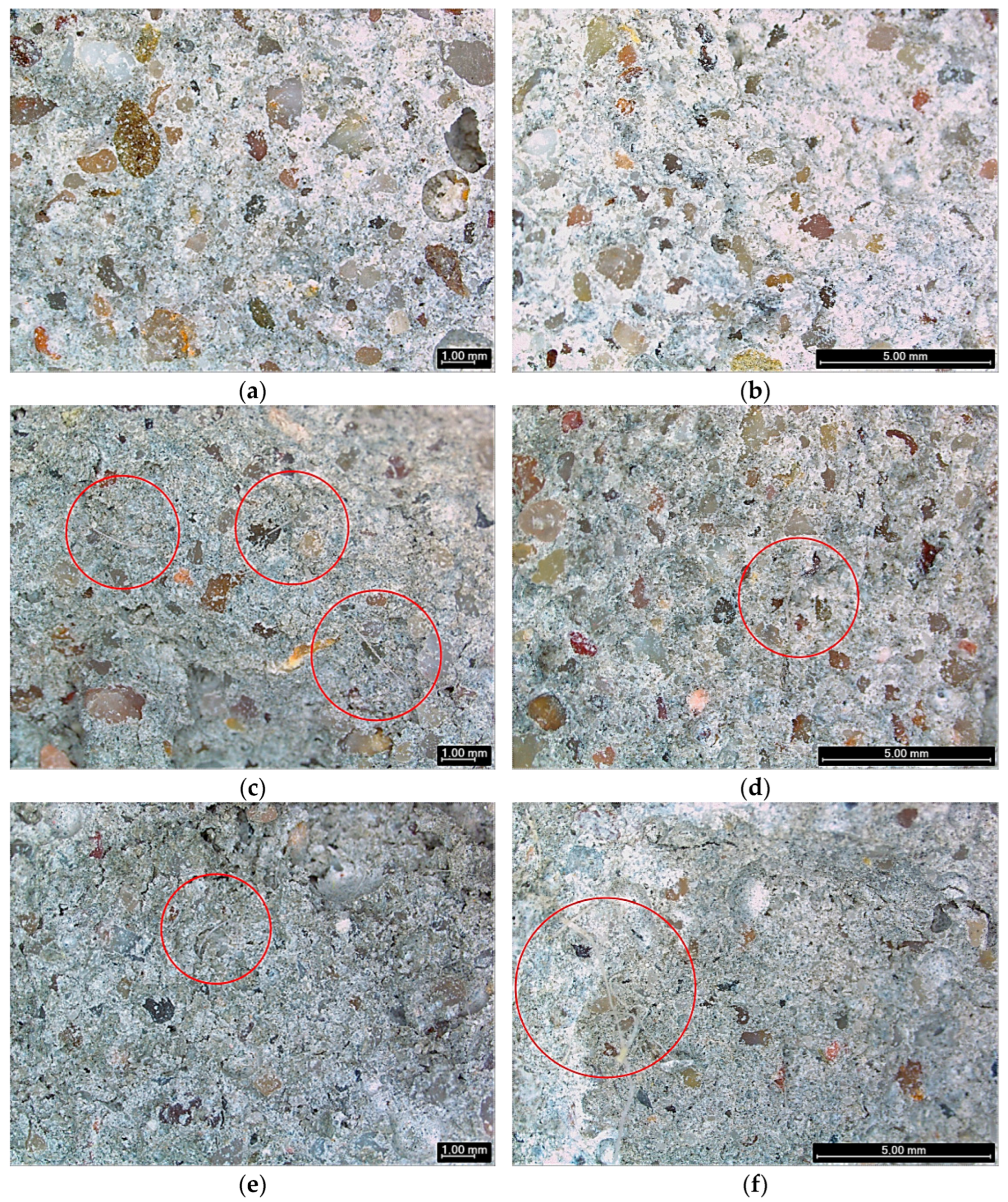 Materials 19 00427 g006