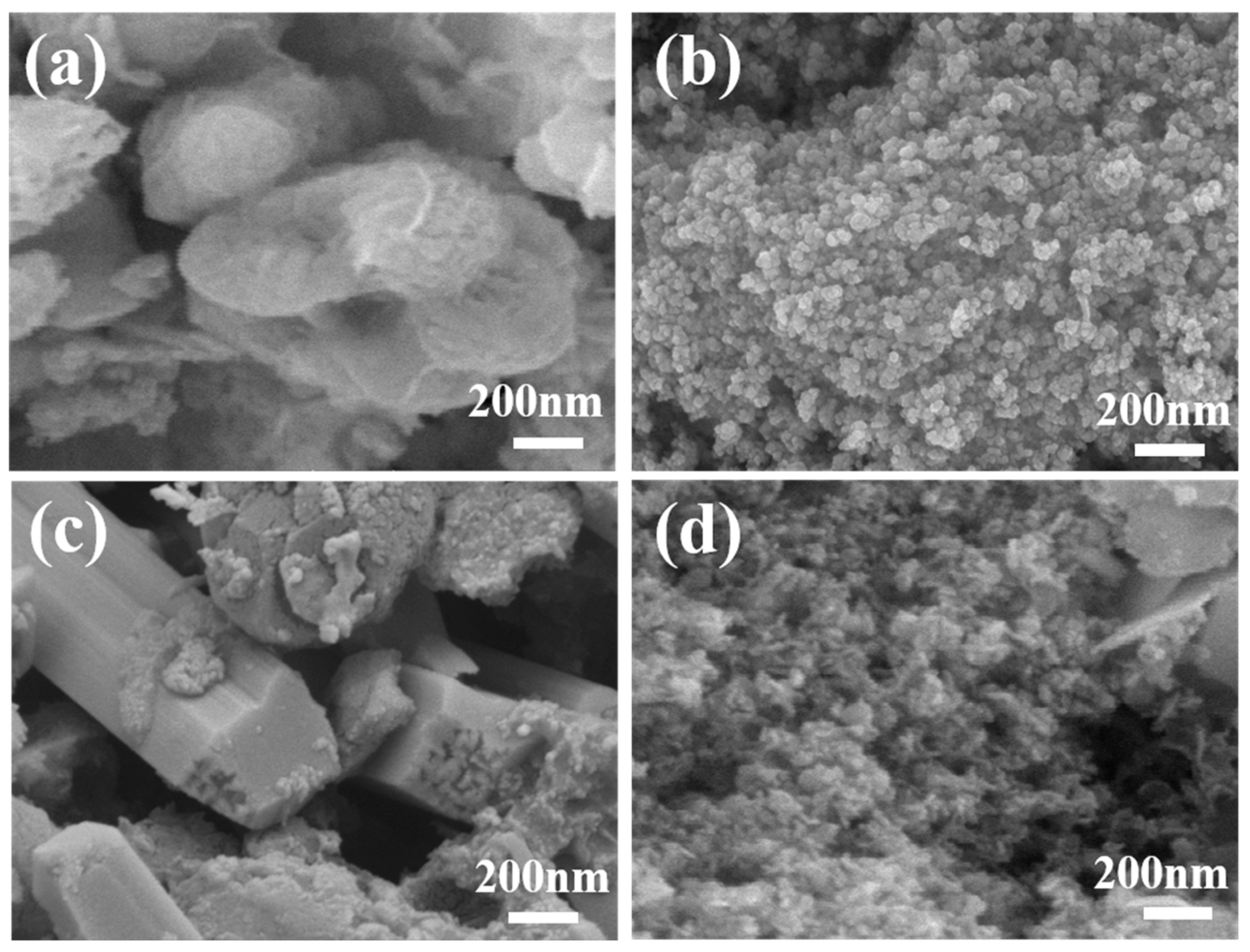 Materials 19 00430 g002 Materials 19 00430 g002