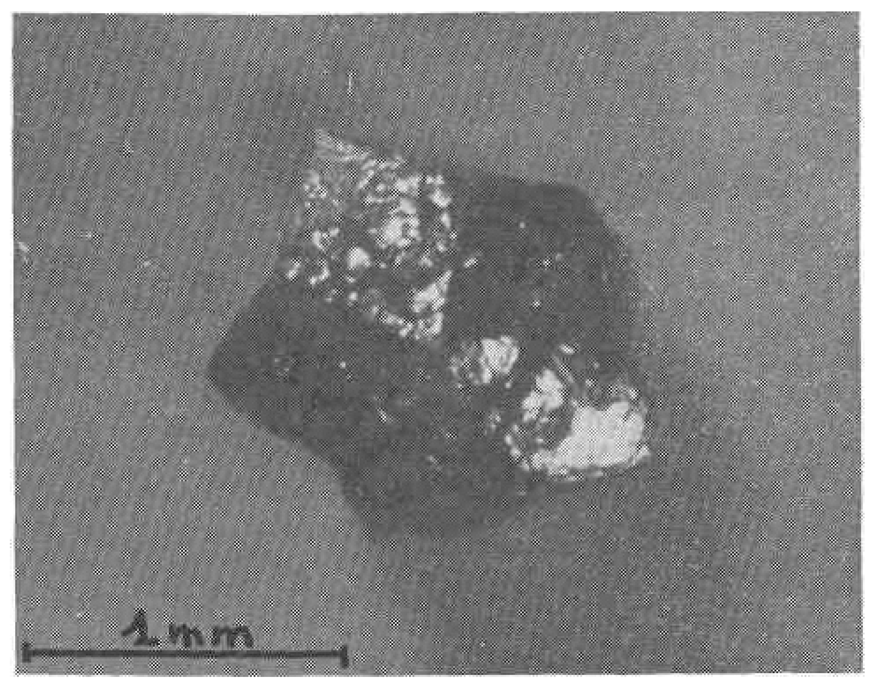 Materials 19 00446 g004