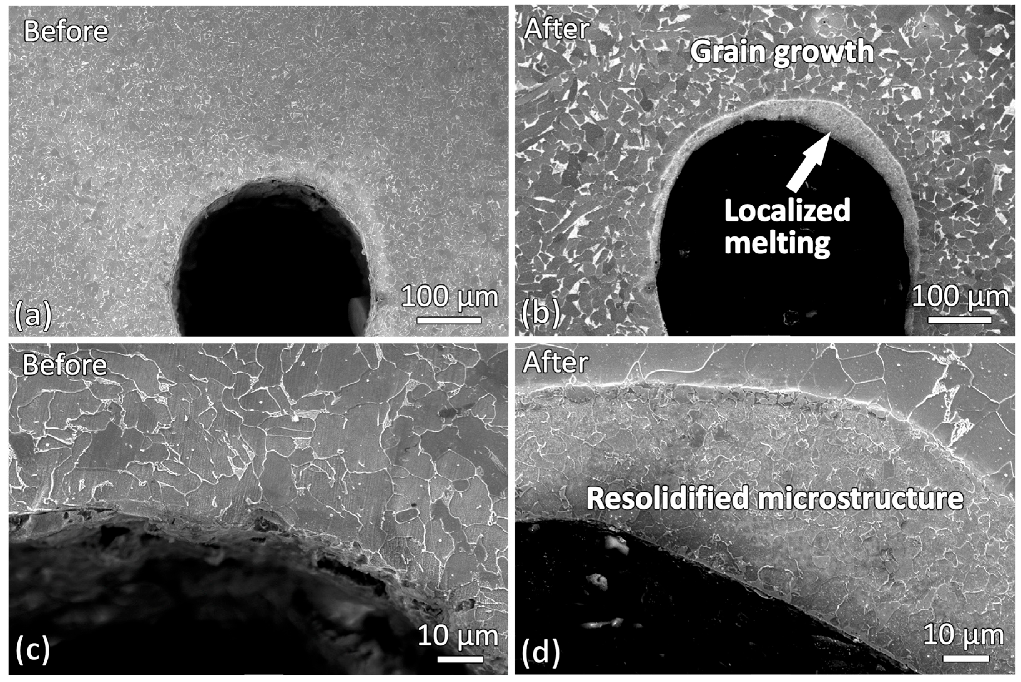 Materials 19 00451 g005