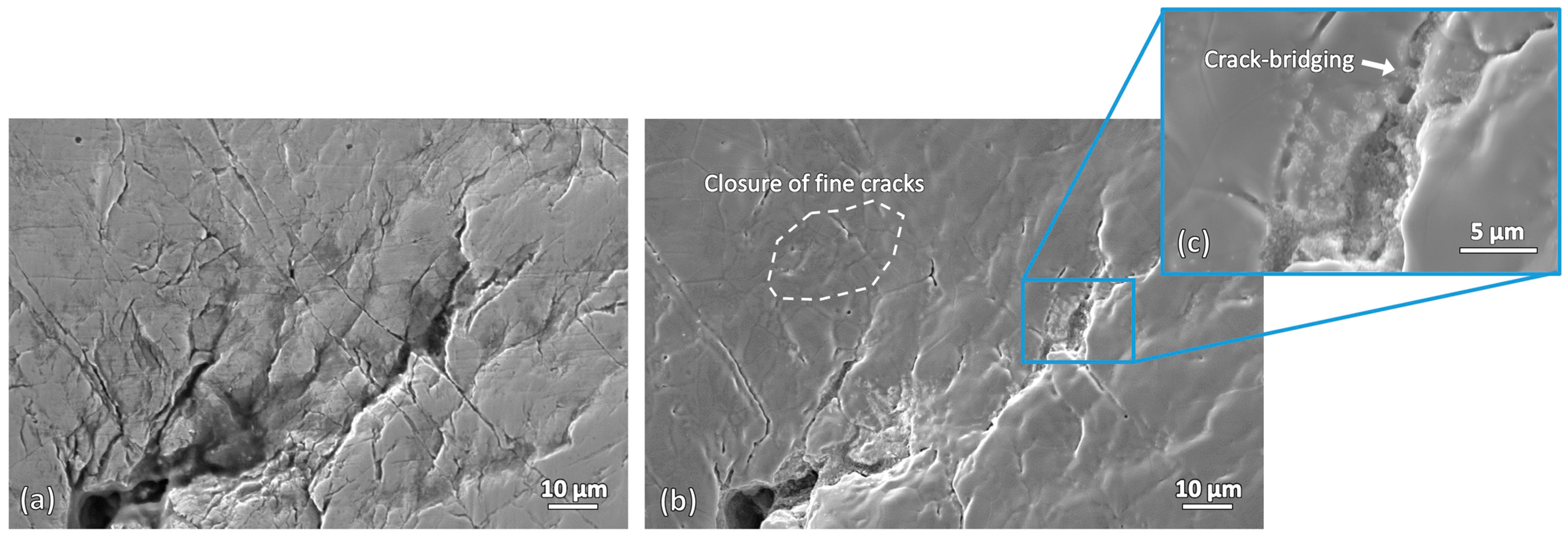 Materials 19 00451 g009