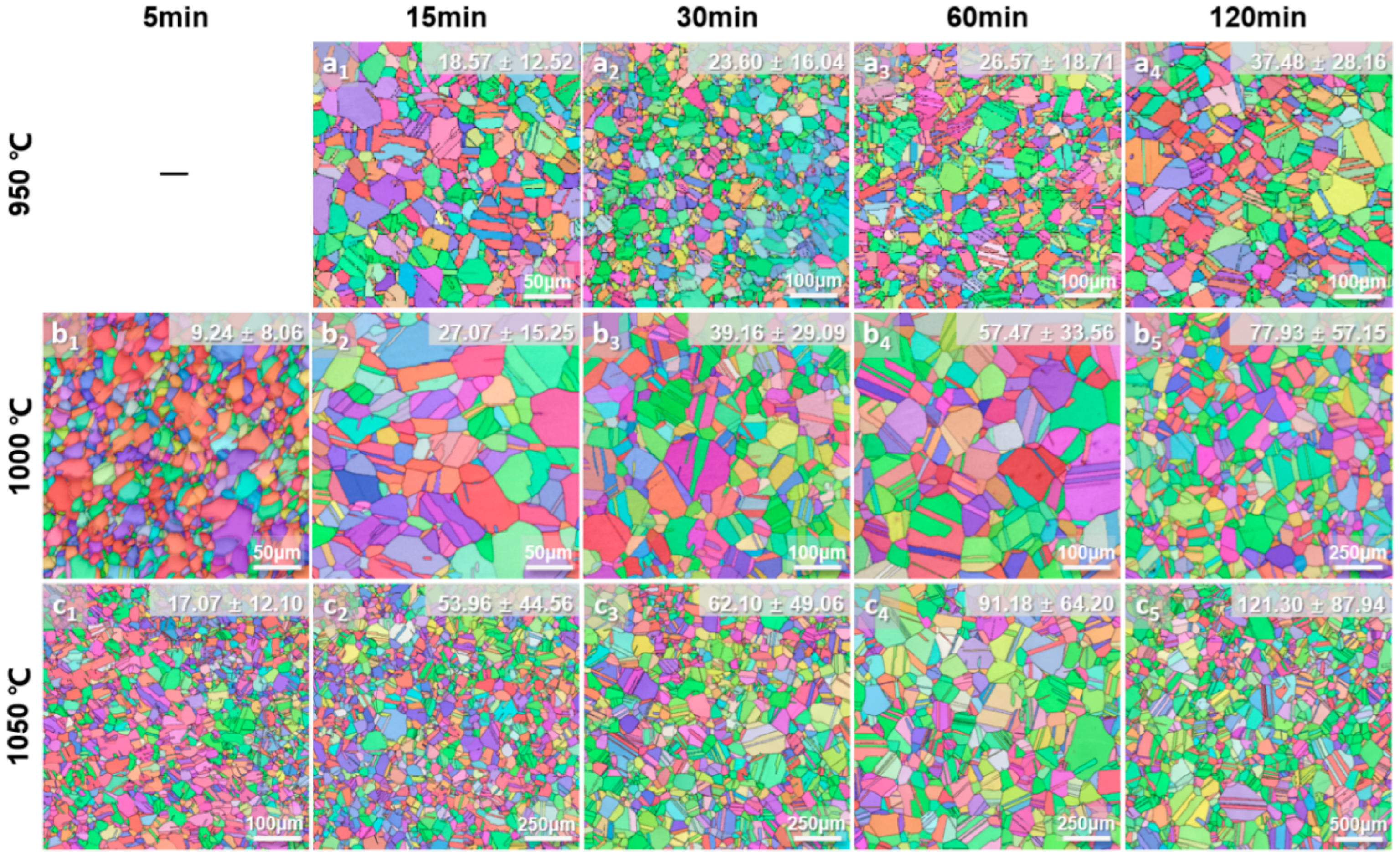 Materials 19 00505 g003