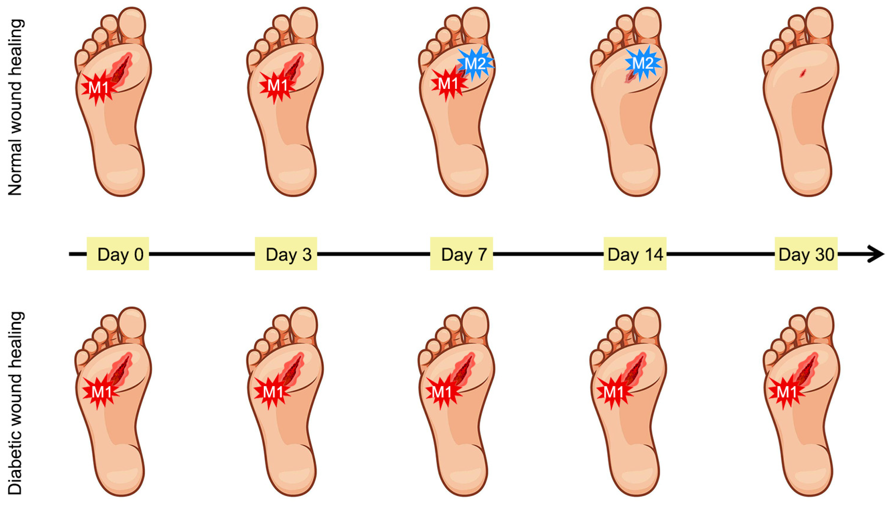 Materials 19 00509 g003