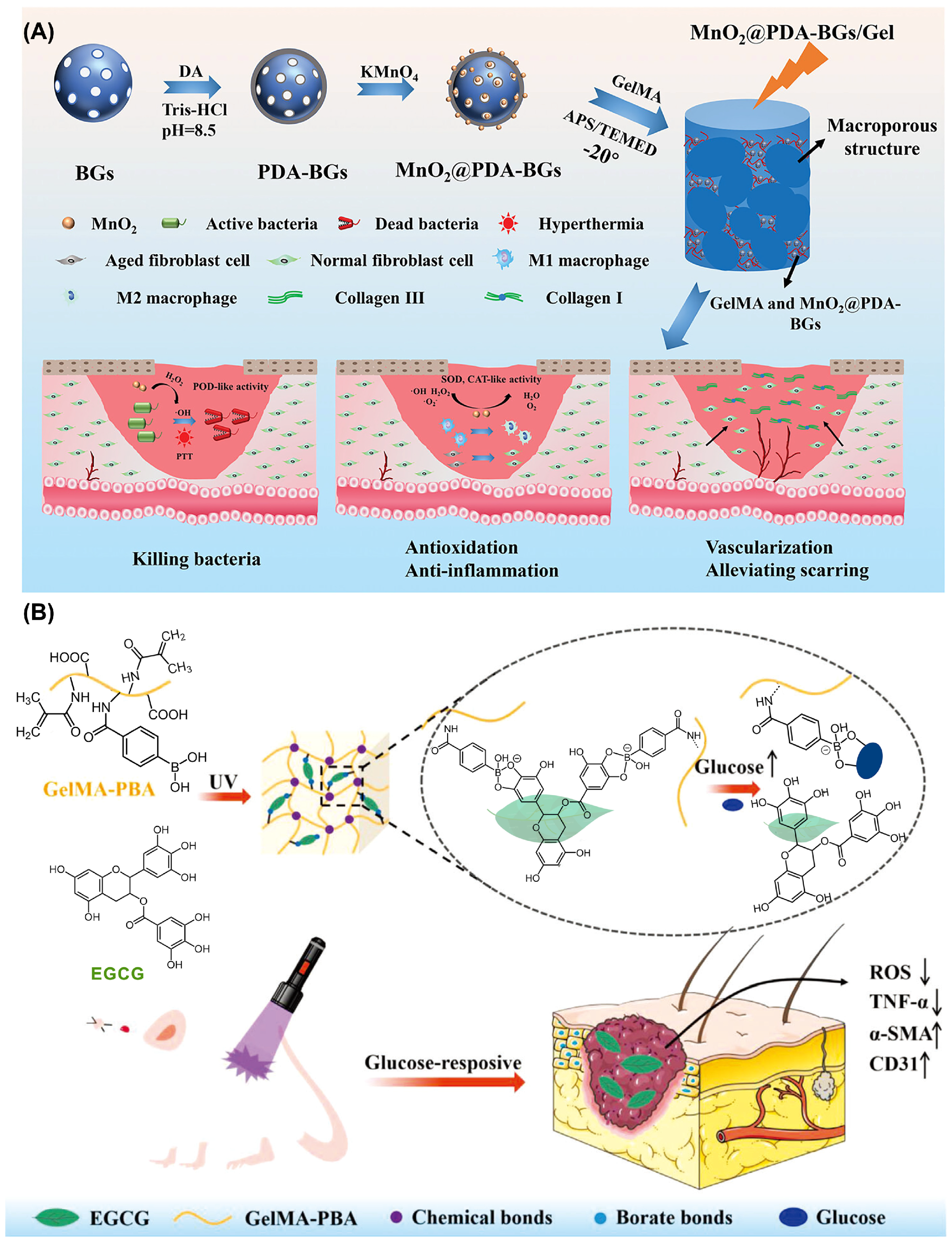 Materials 19 00509 g004
