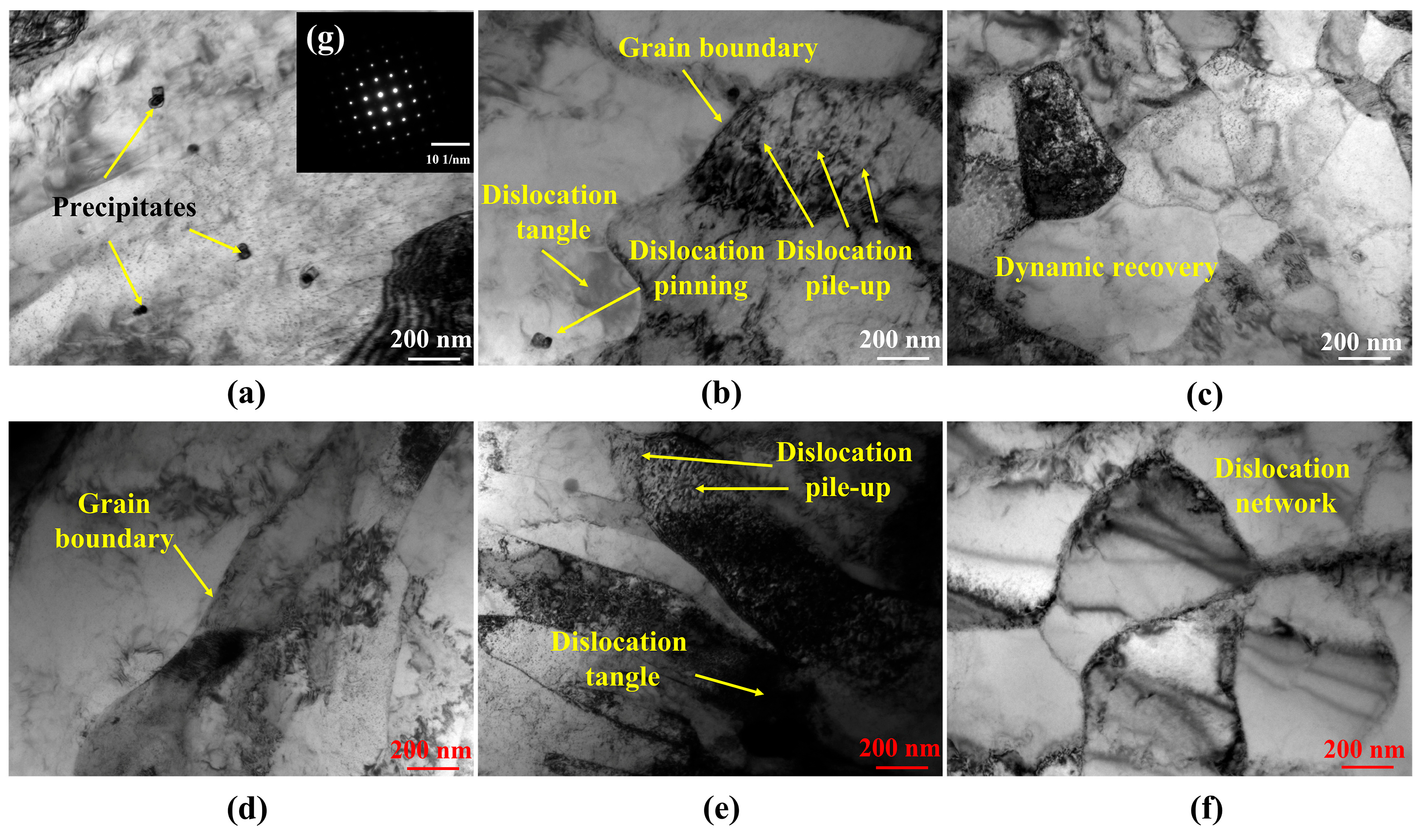 Materials 19 00514 g010