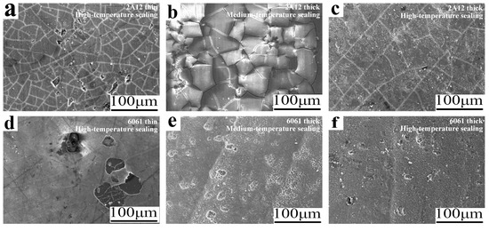 Effect of Film Thickness and Defects on the Corrosion Behavior of