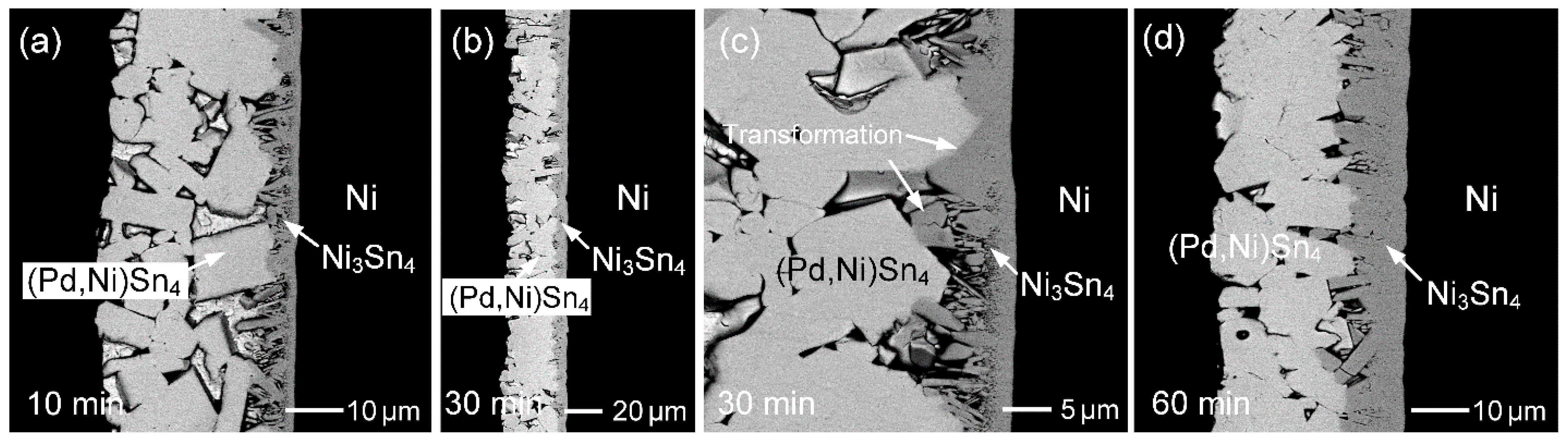 Materials 19 00526 g007