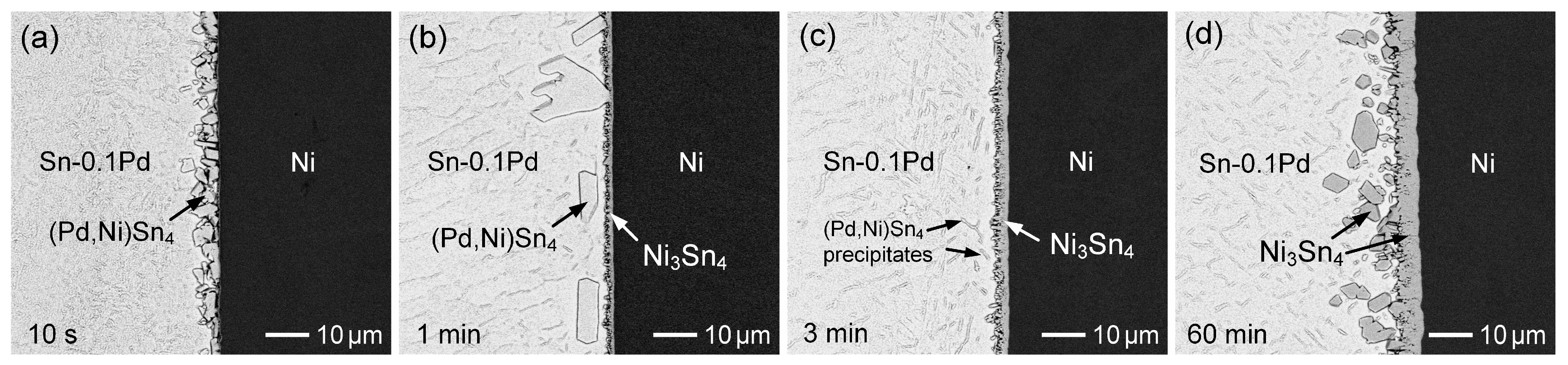 Materials 19 00526 g010