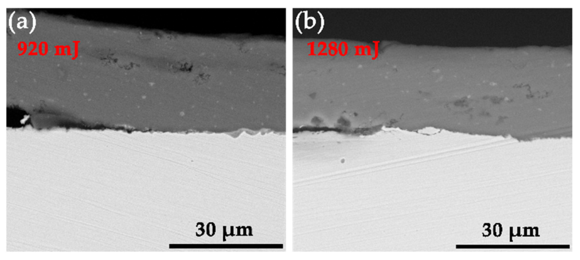 Materials 19 00527 g007 Materials 19 00527 g007