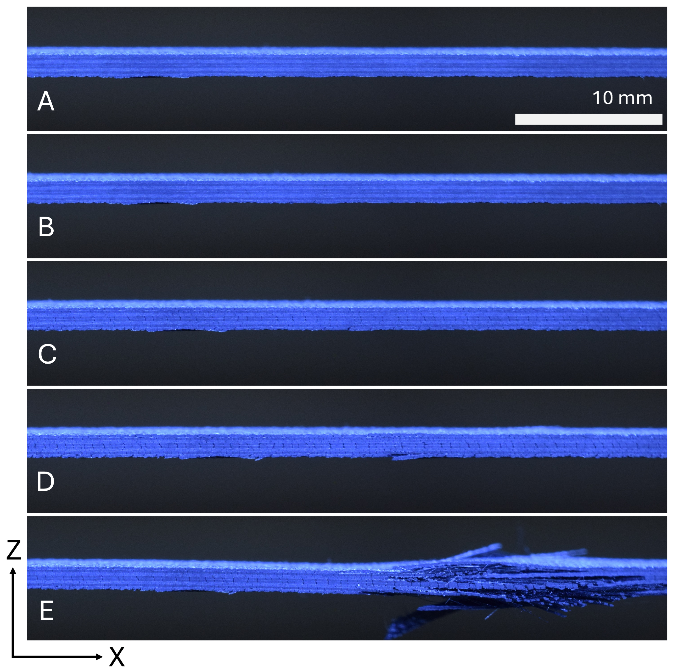 Materials 19 00540 g009