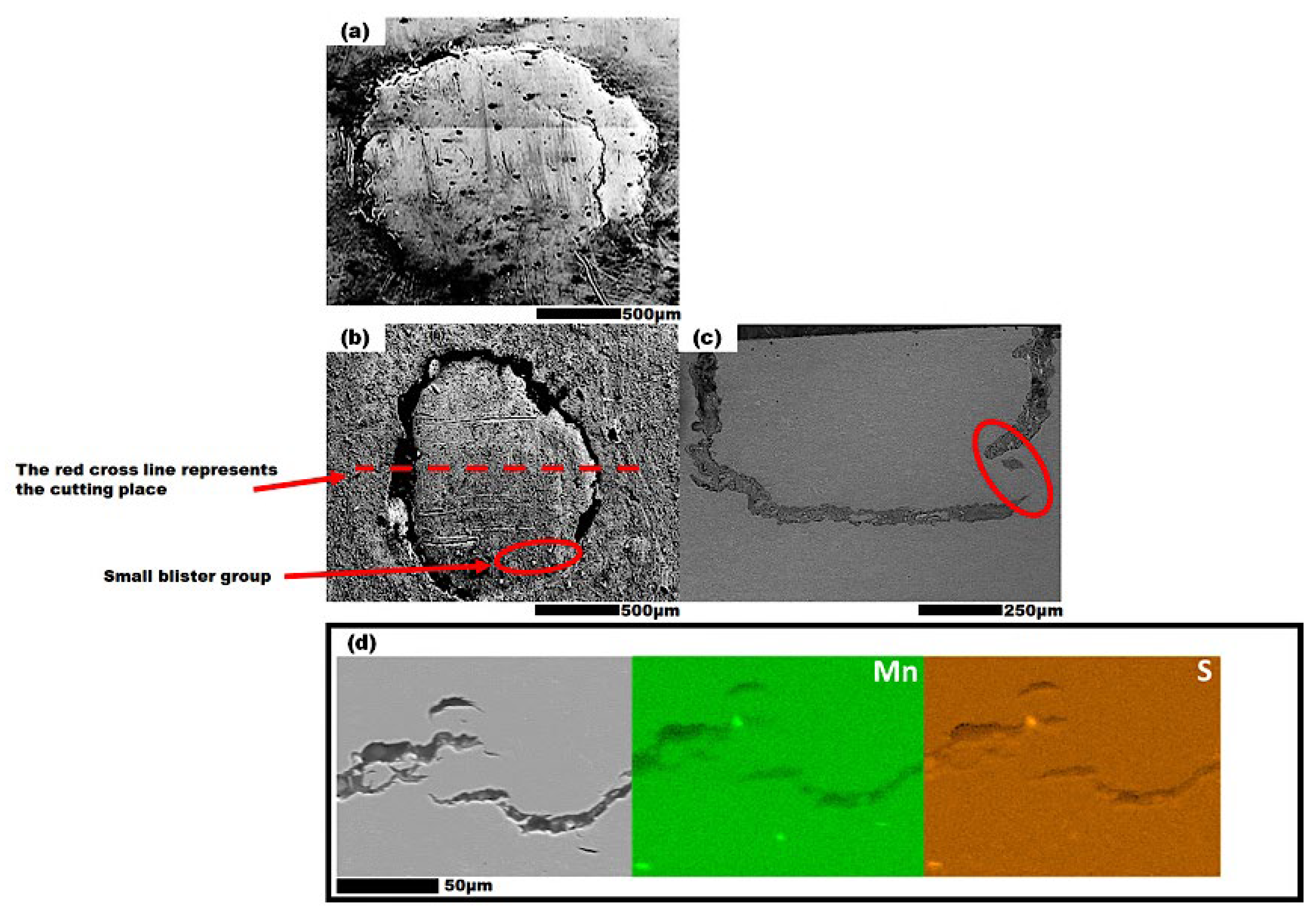 Materials 19 00552 g007
